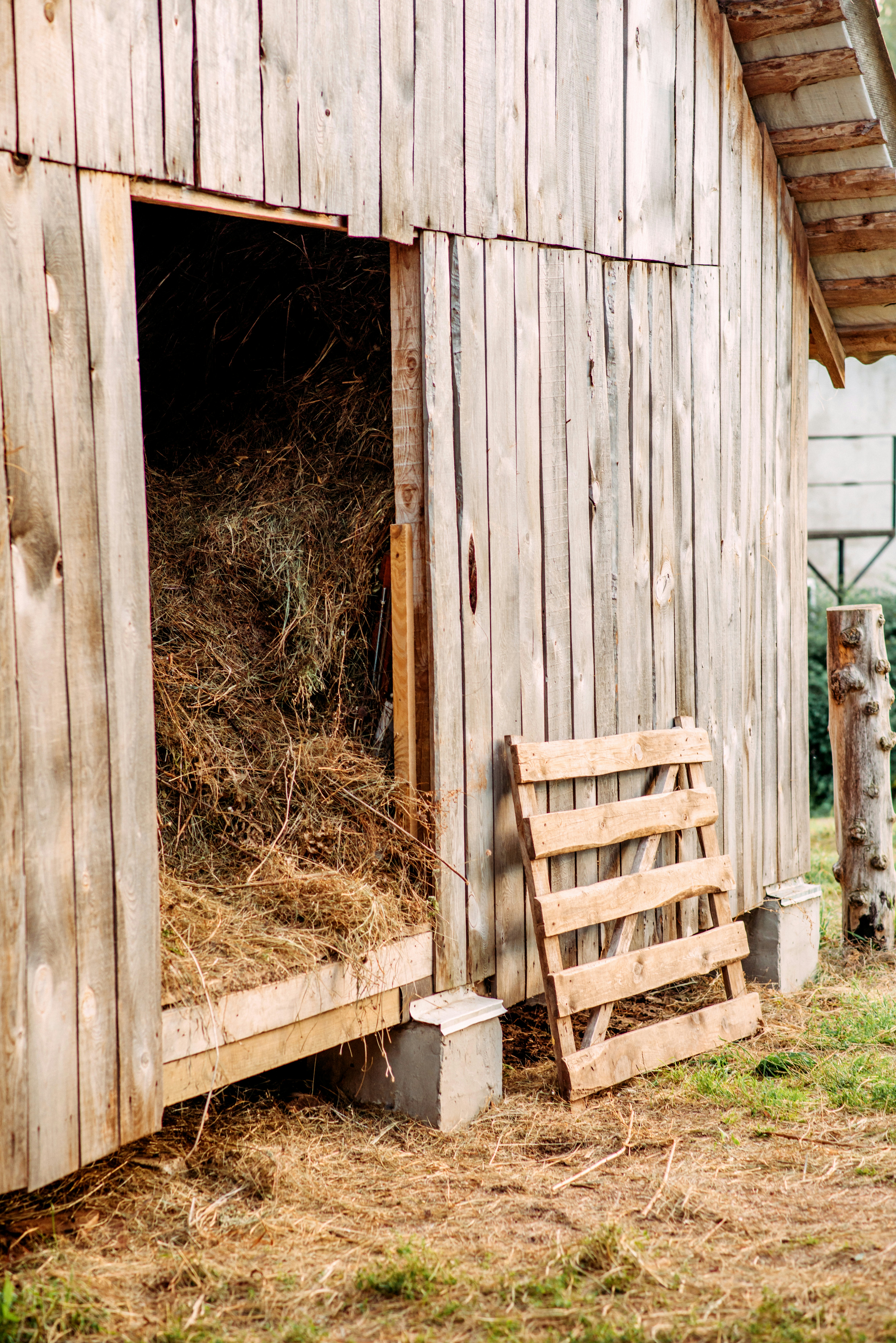 Photo by eugenivy_now