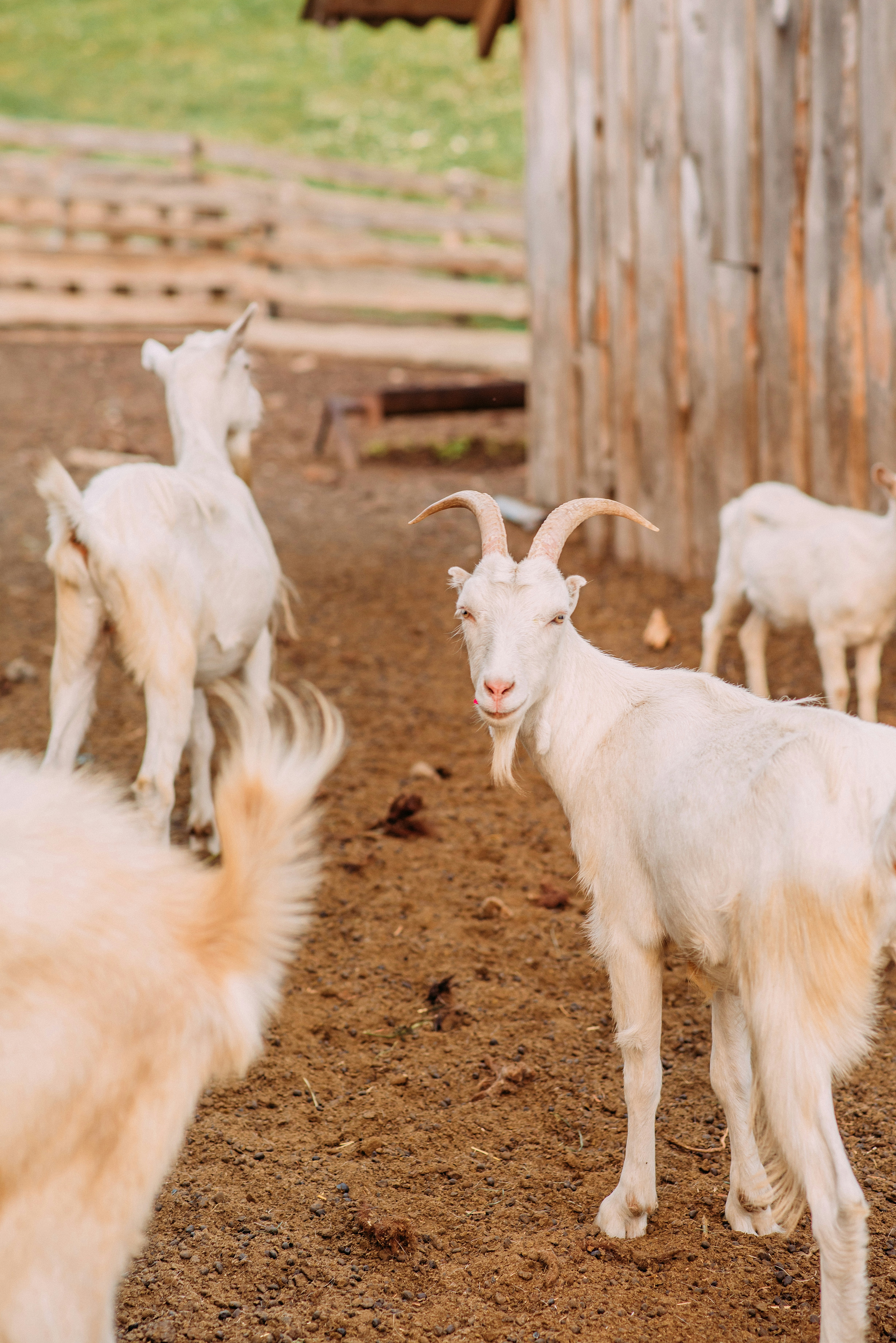 Photo by eugenivy_now