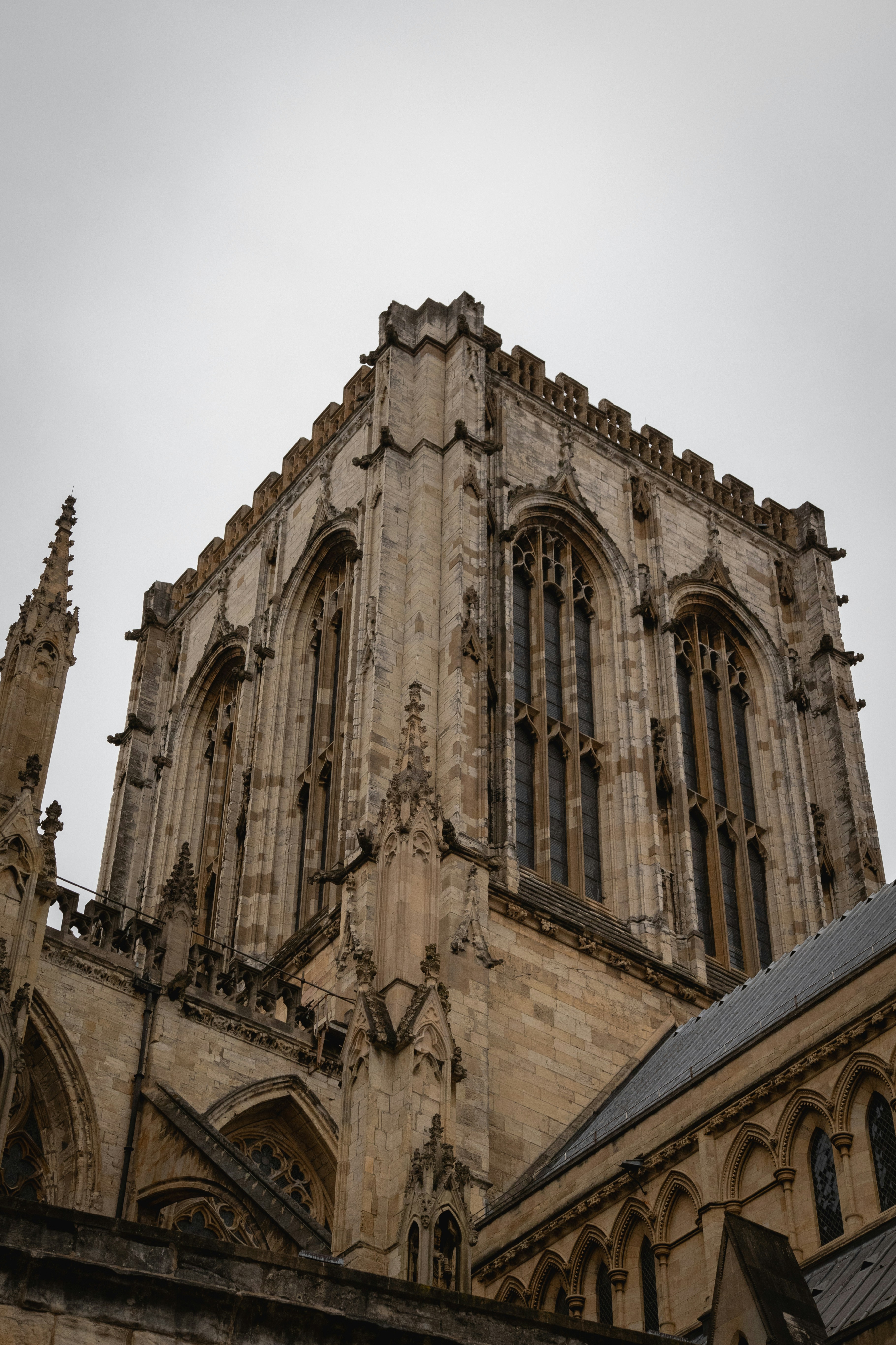 Photo by tpminettphotography