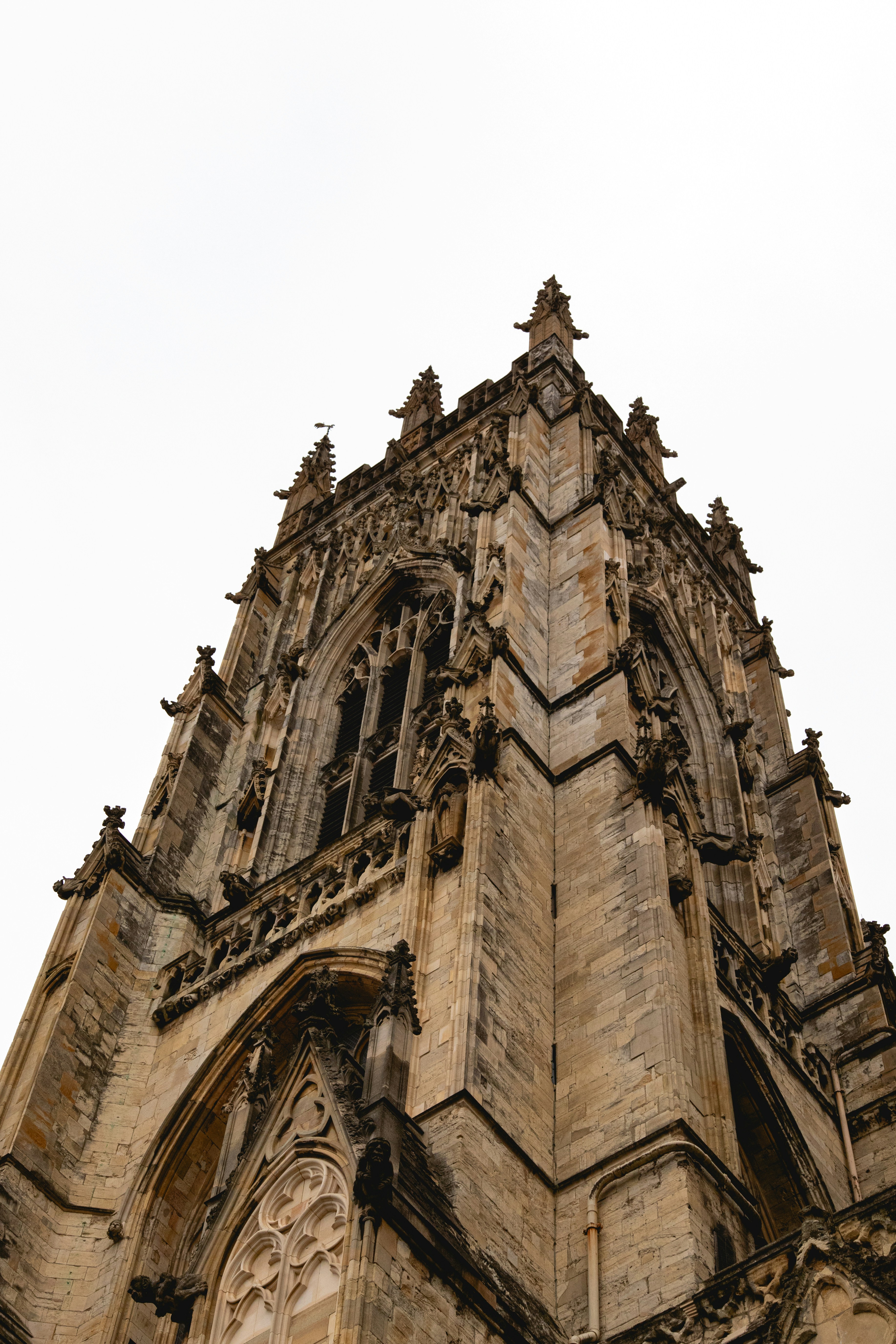 Photo by tpminettphotography