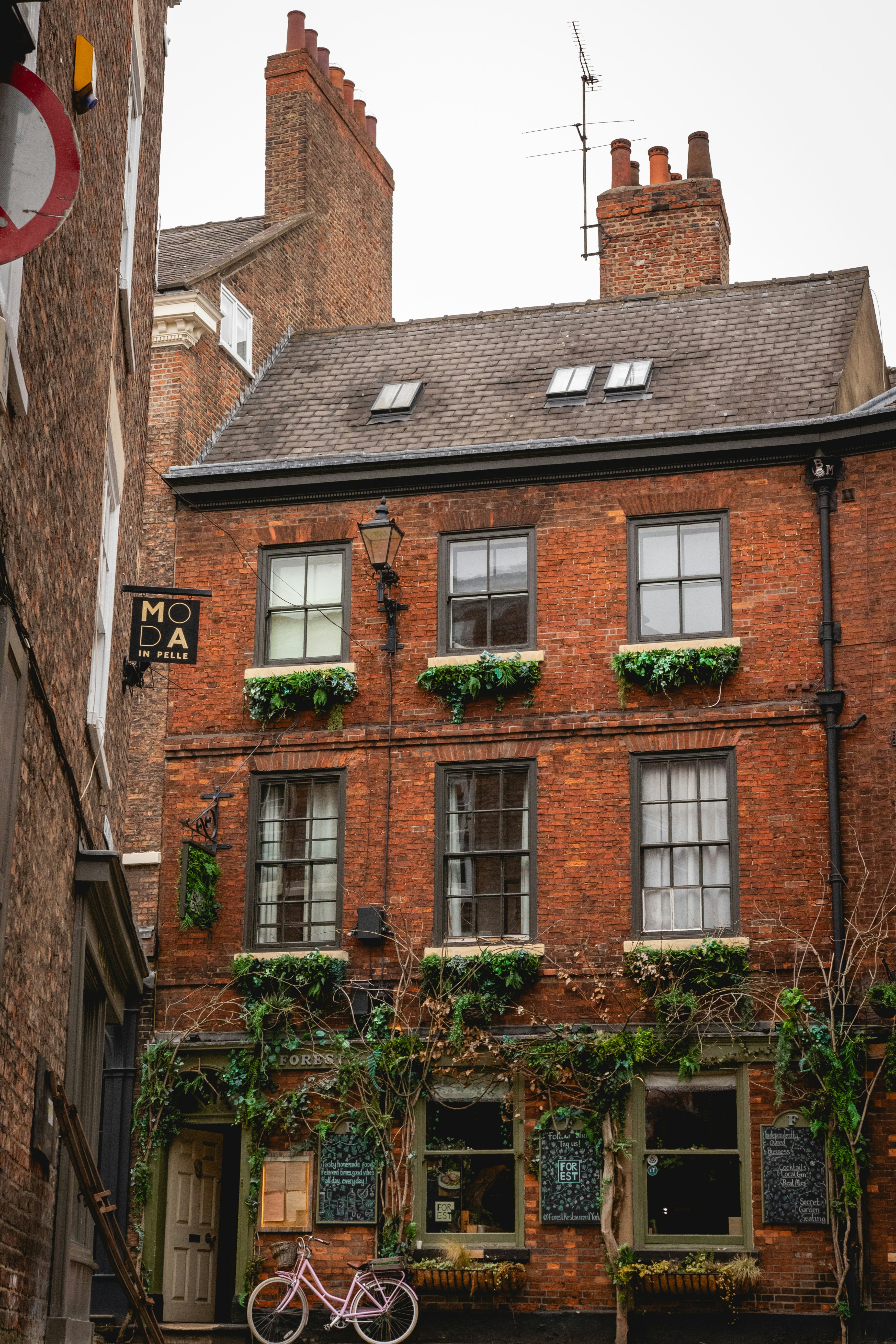 Photo by tpminettphotography