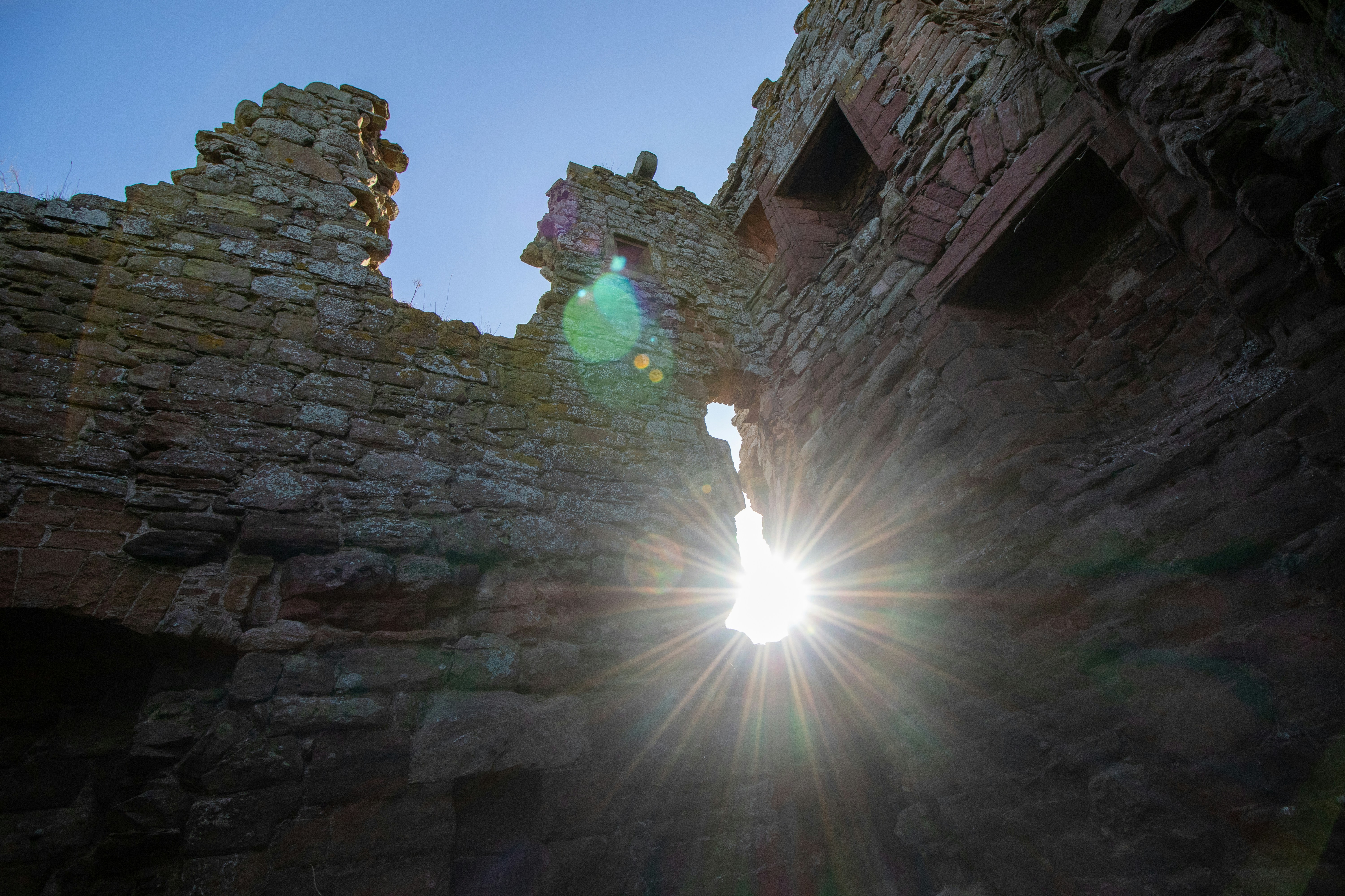 Photo by tpminettphotography