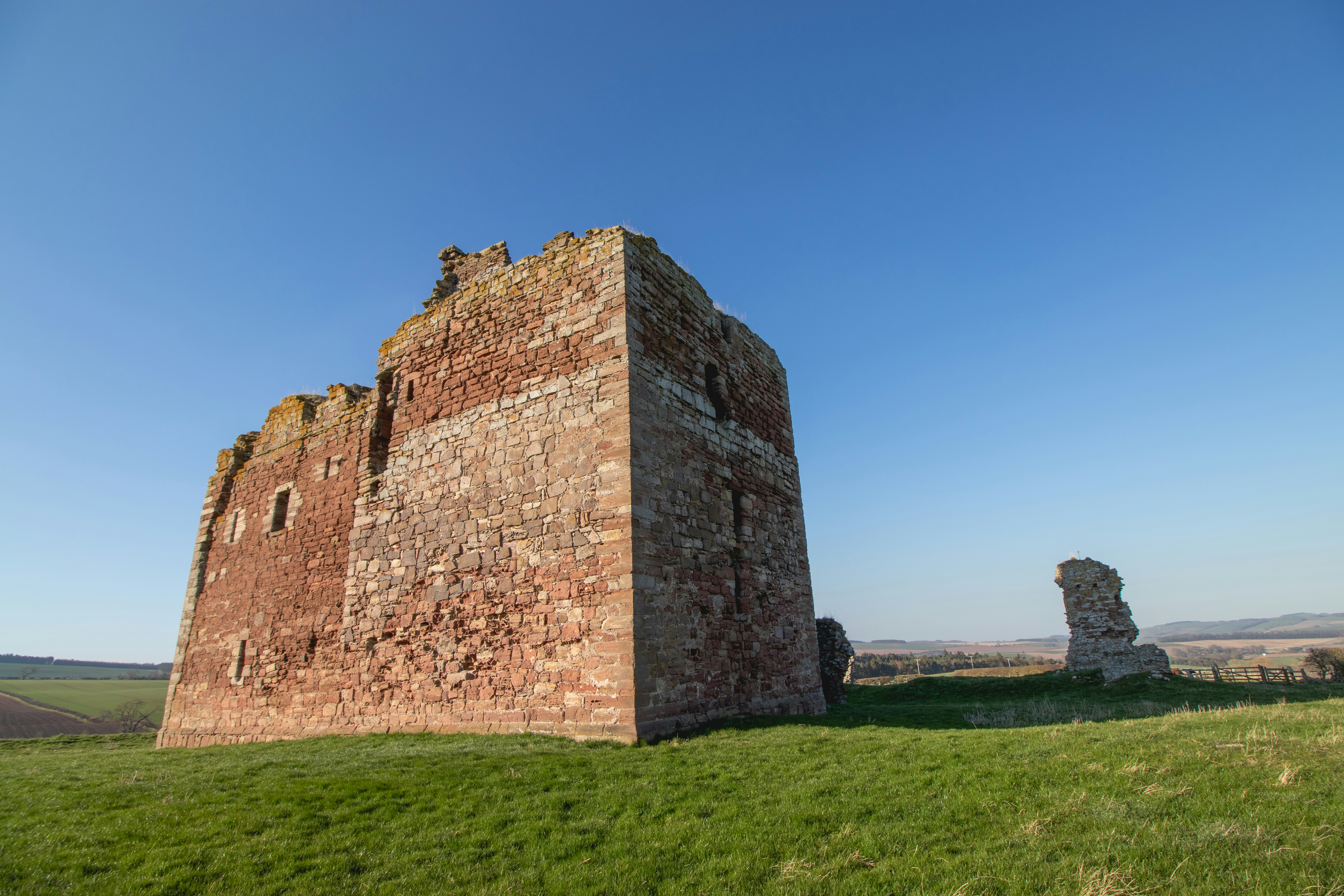 Photo by tpminettphotography