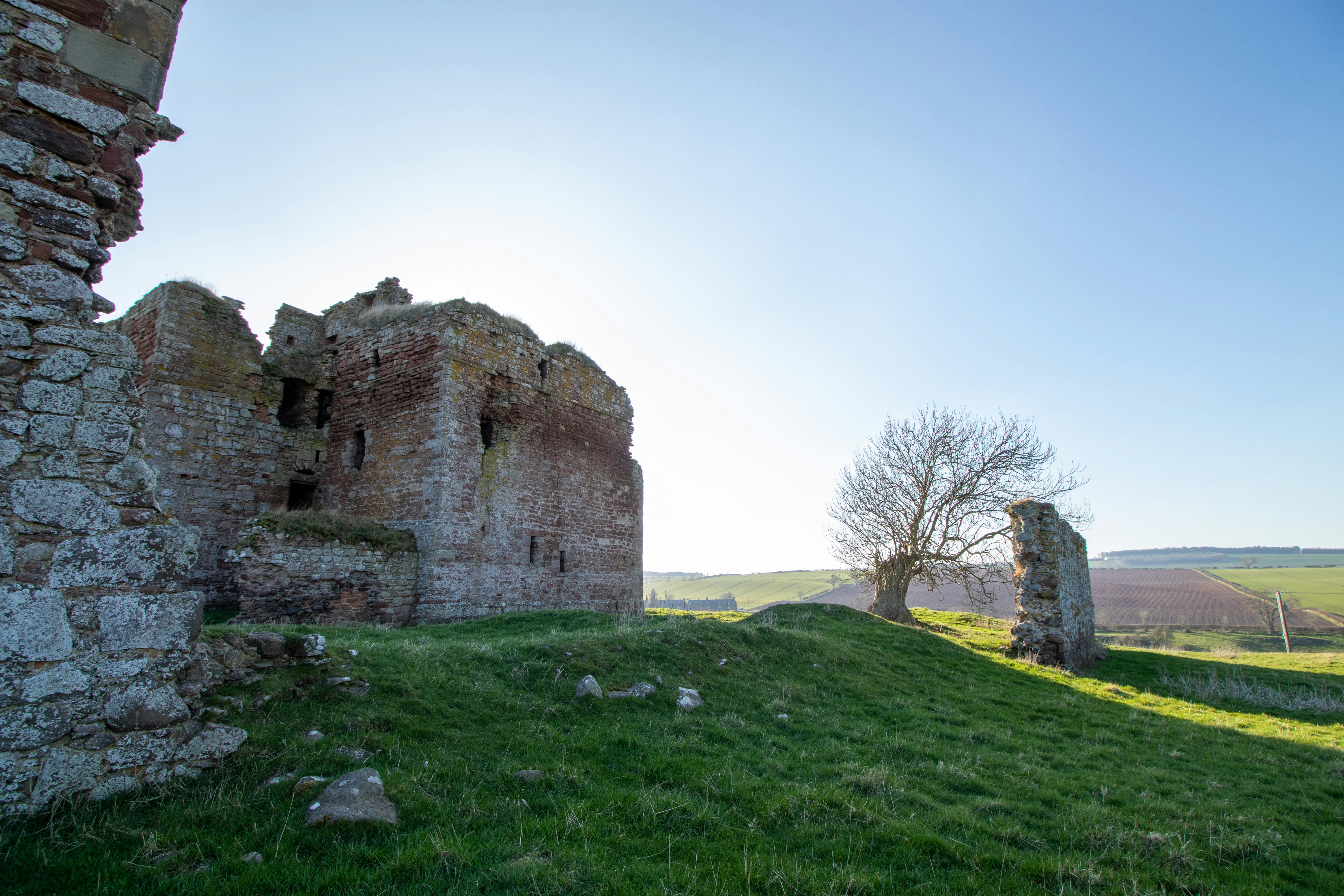 Photo by tpminettphotography