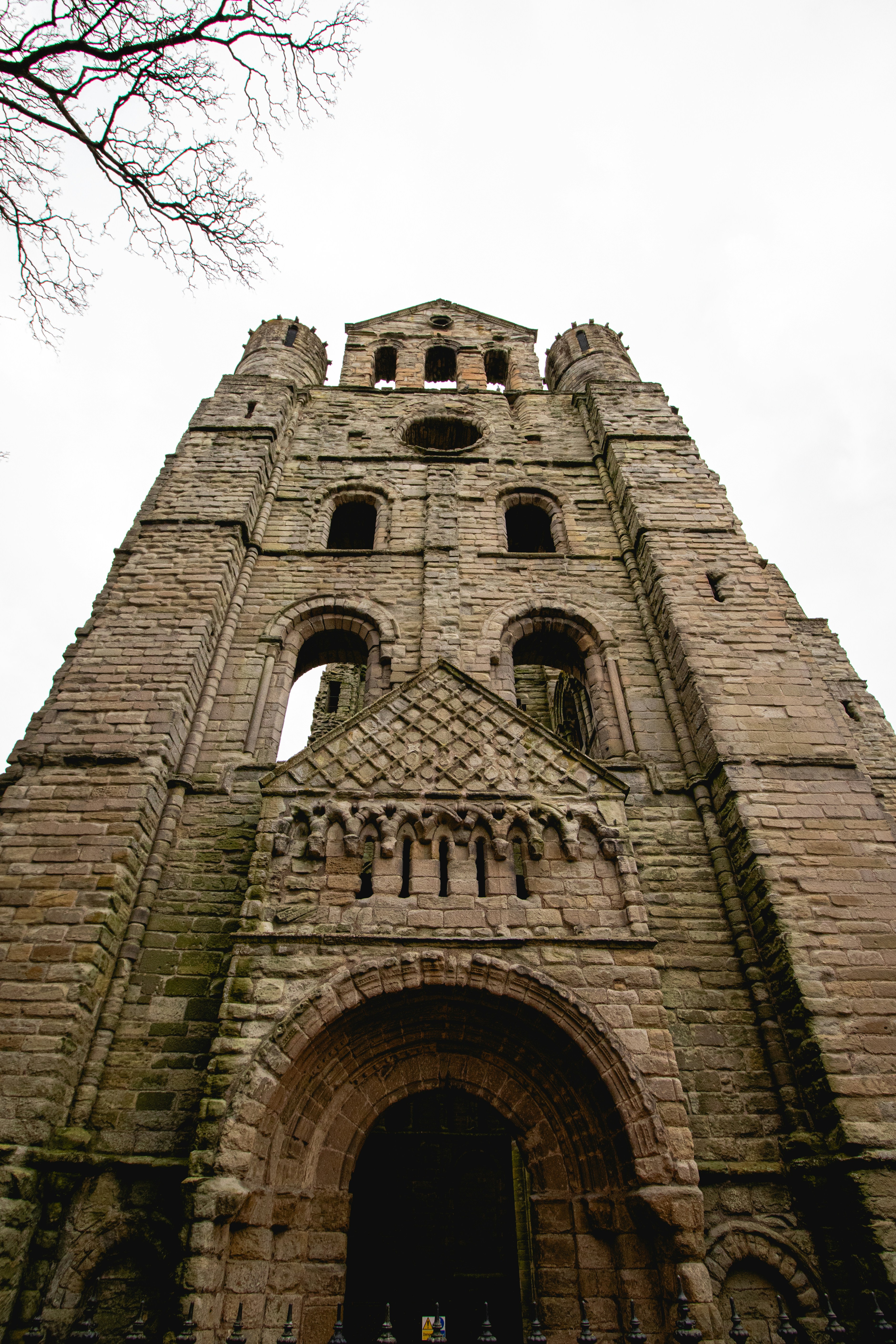 Photo by tpminettphotography