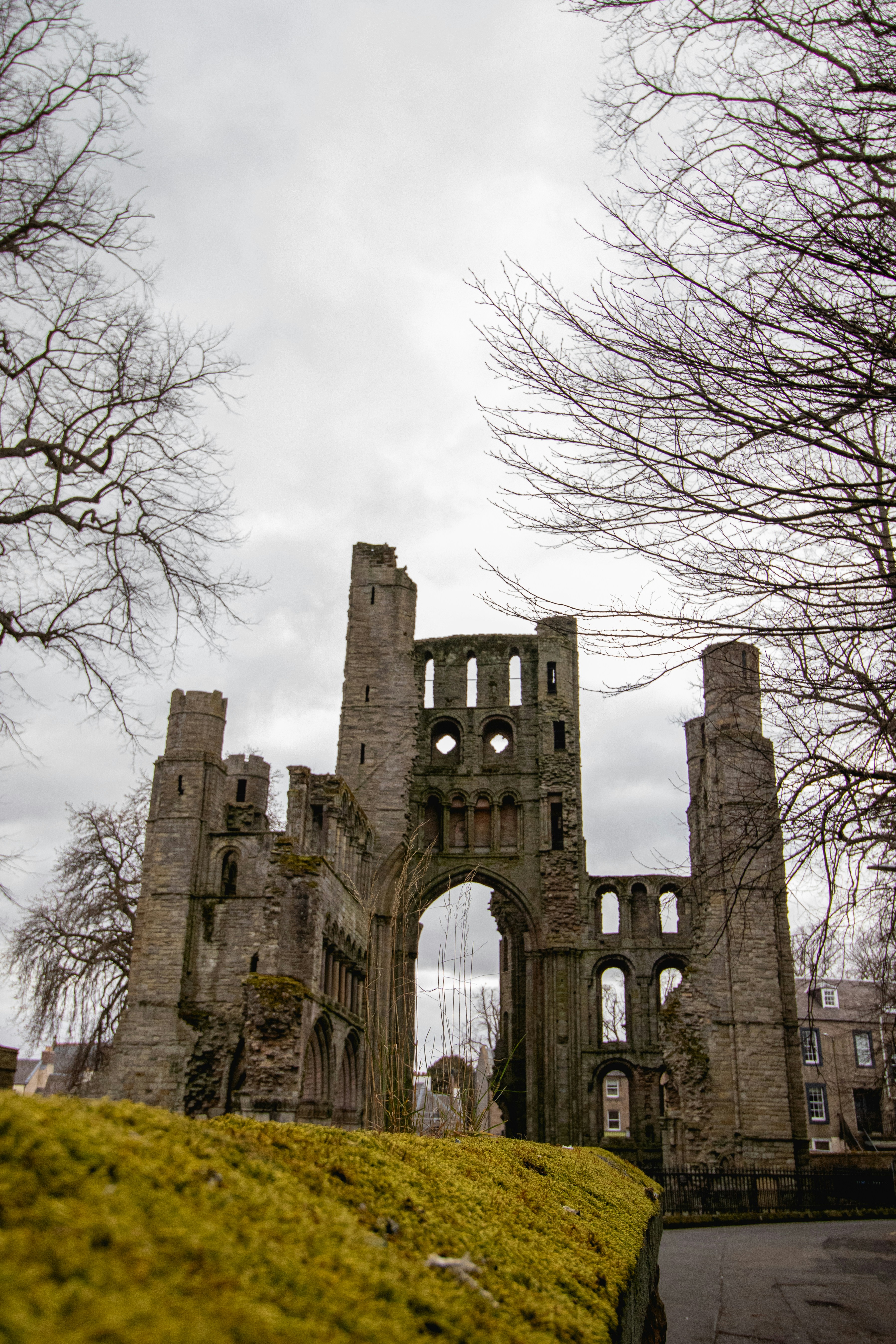 Photo by tpminettphotography