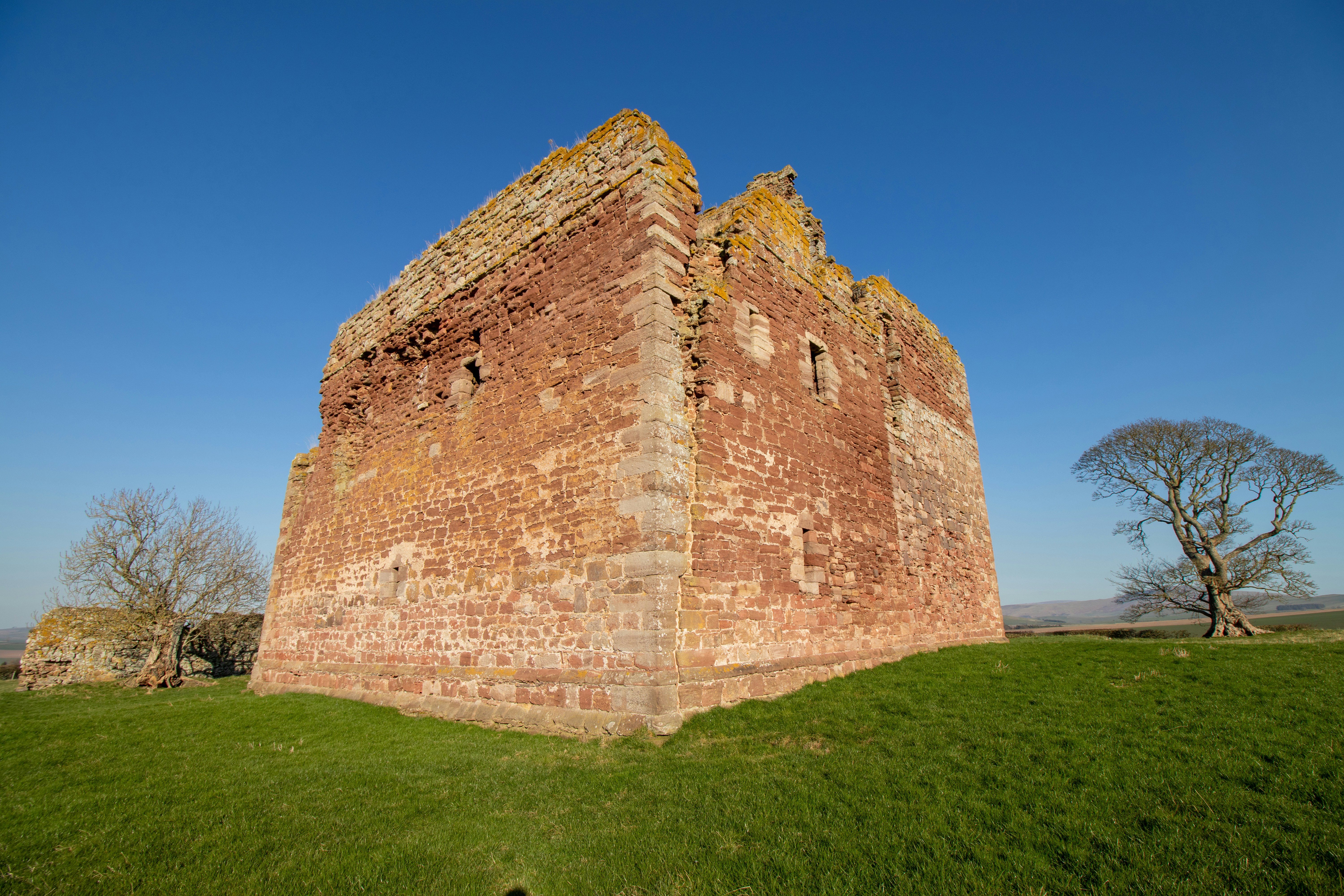 Photo by tpminettphotography