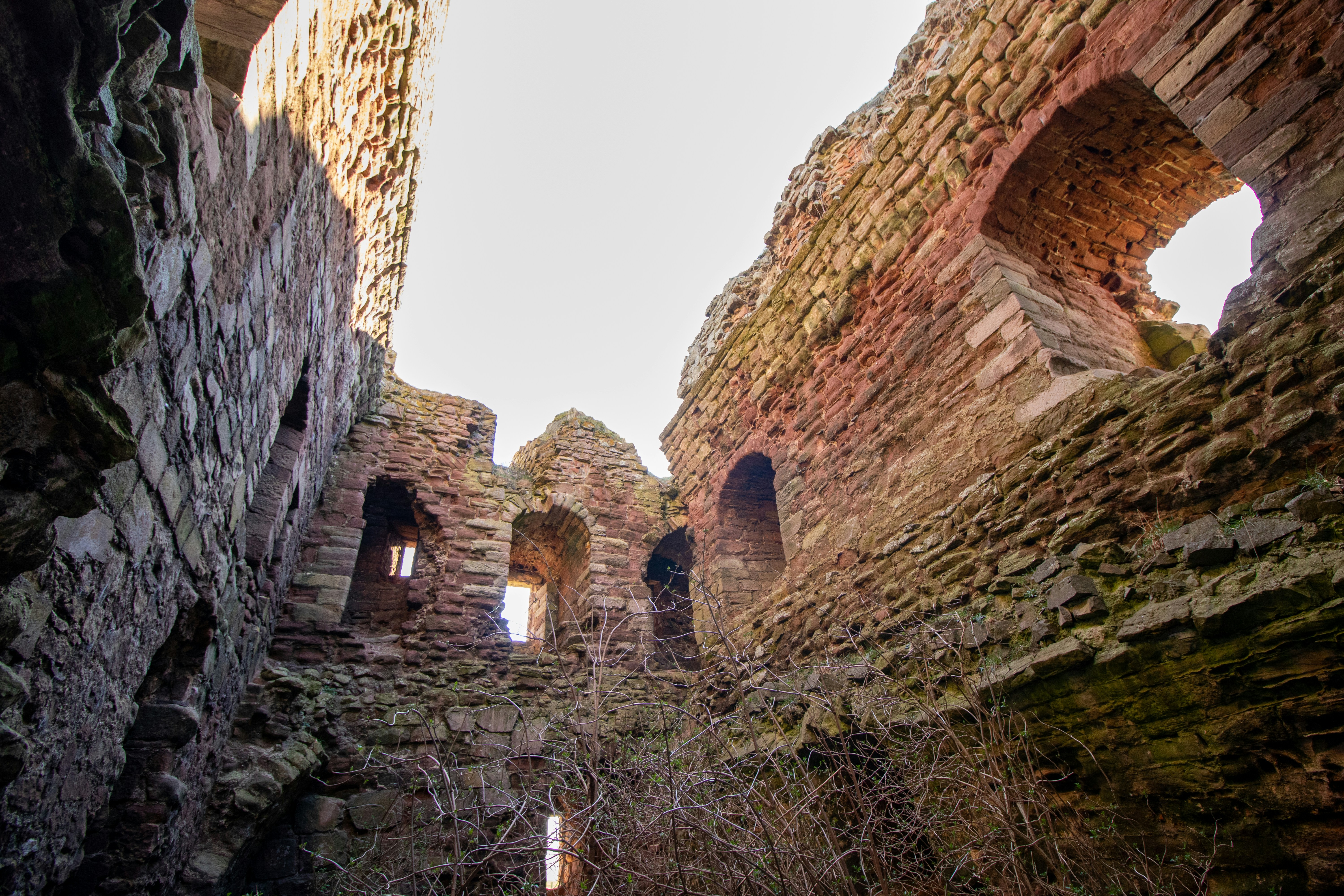 Photo by tpminettphotography