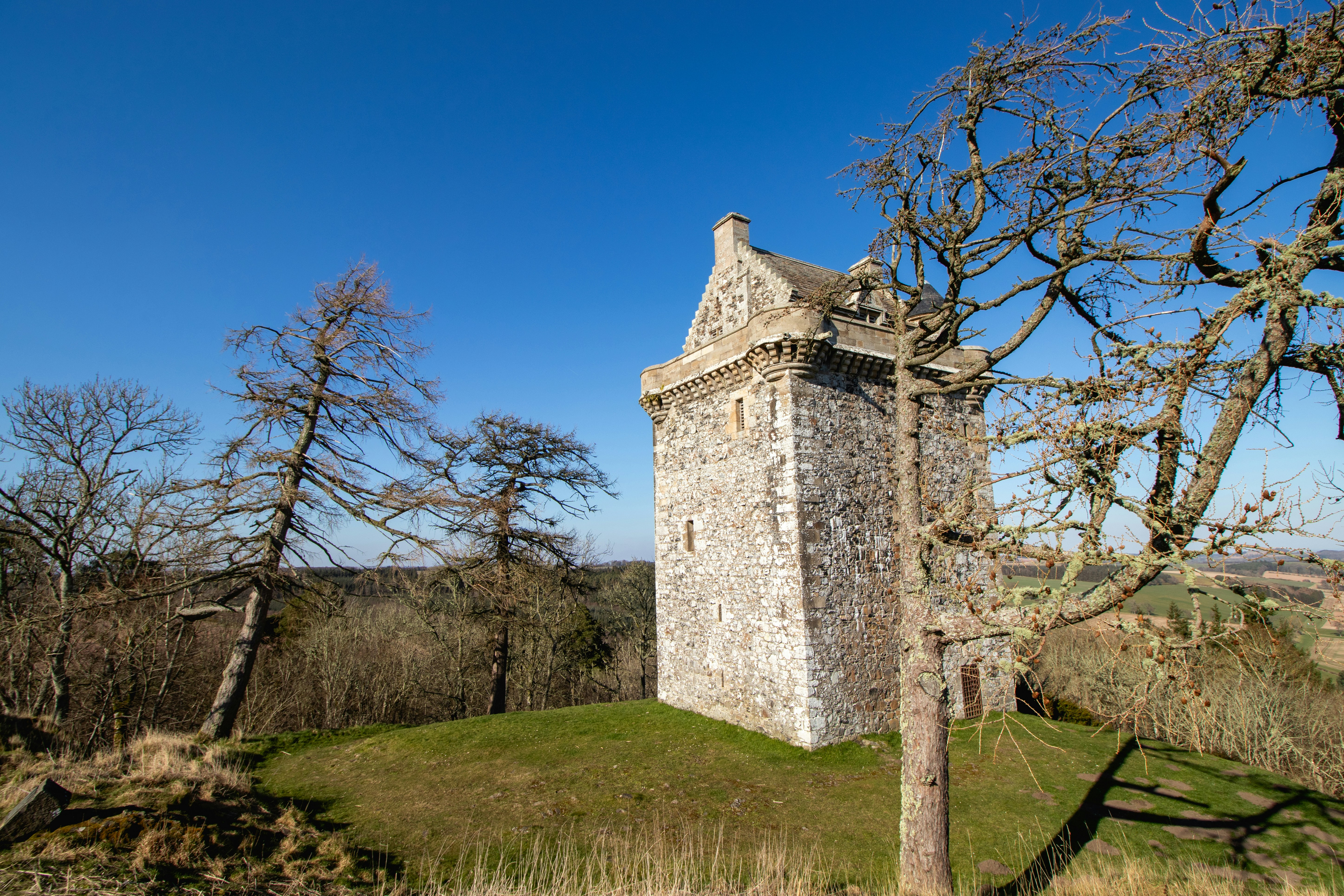 Photo by tpminettphotography