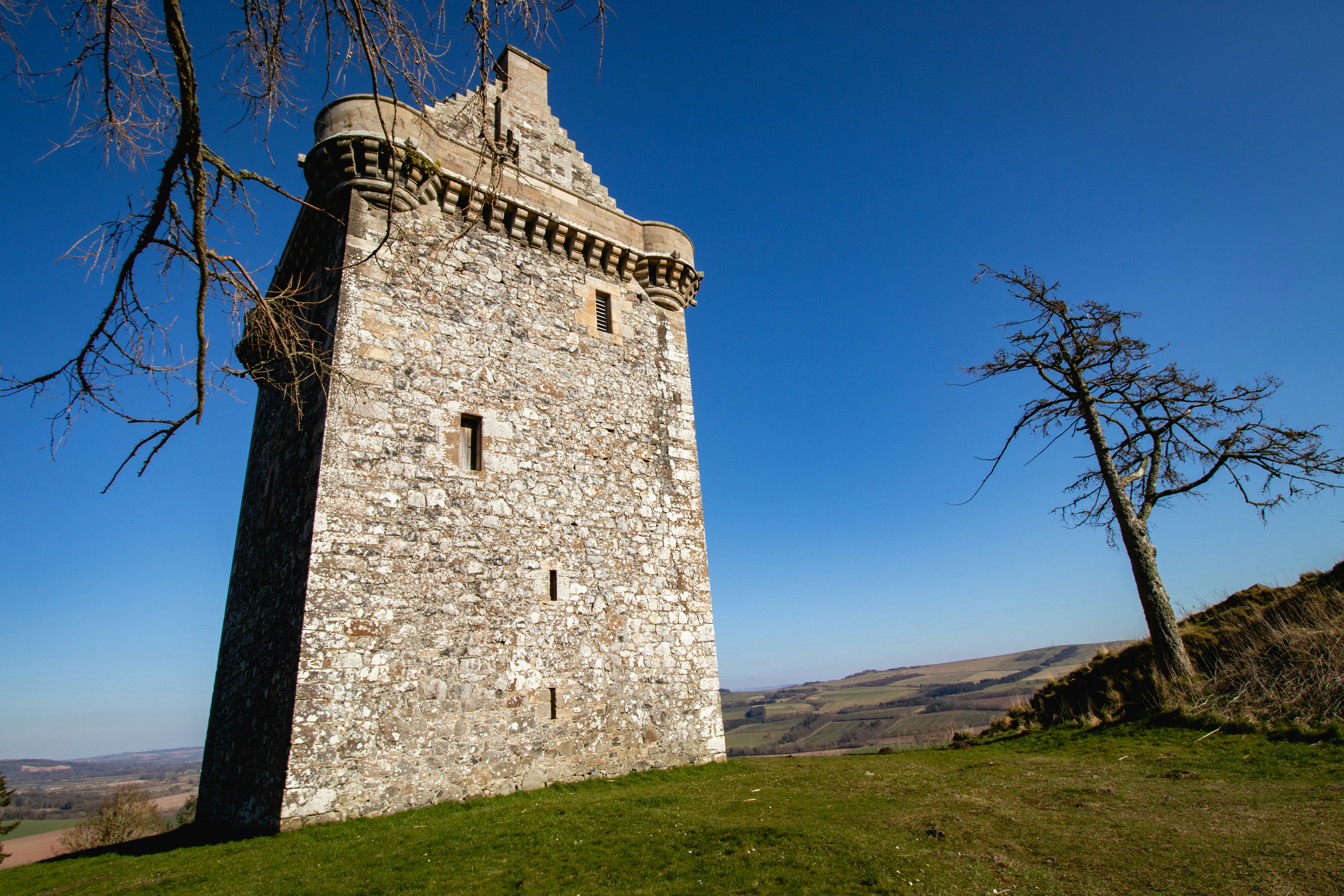 Photo by tpminettphotography