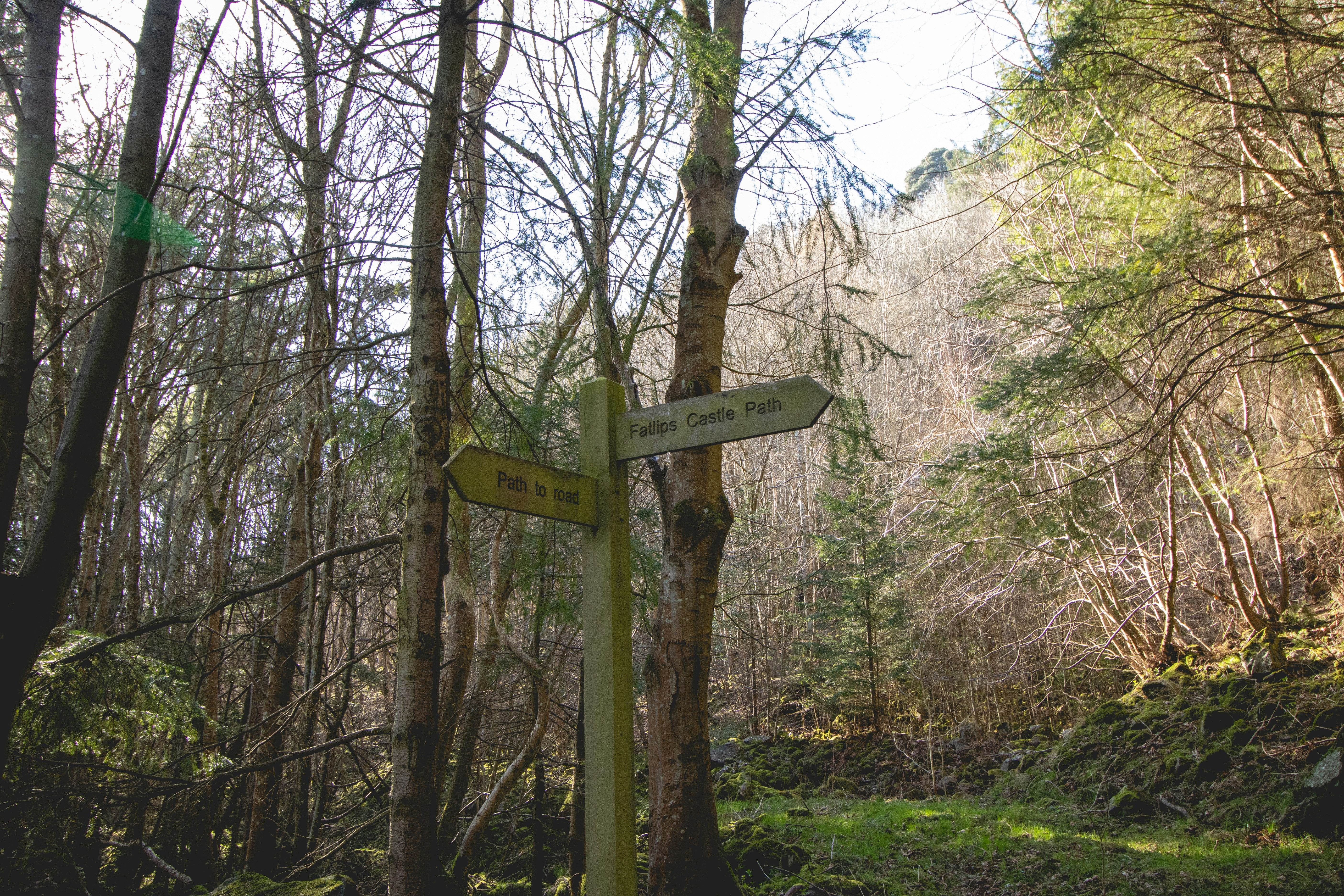 Photo by tpminettphotography