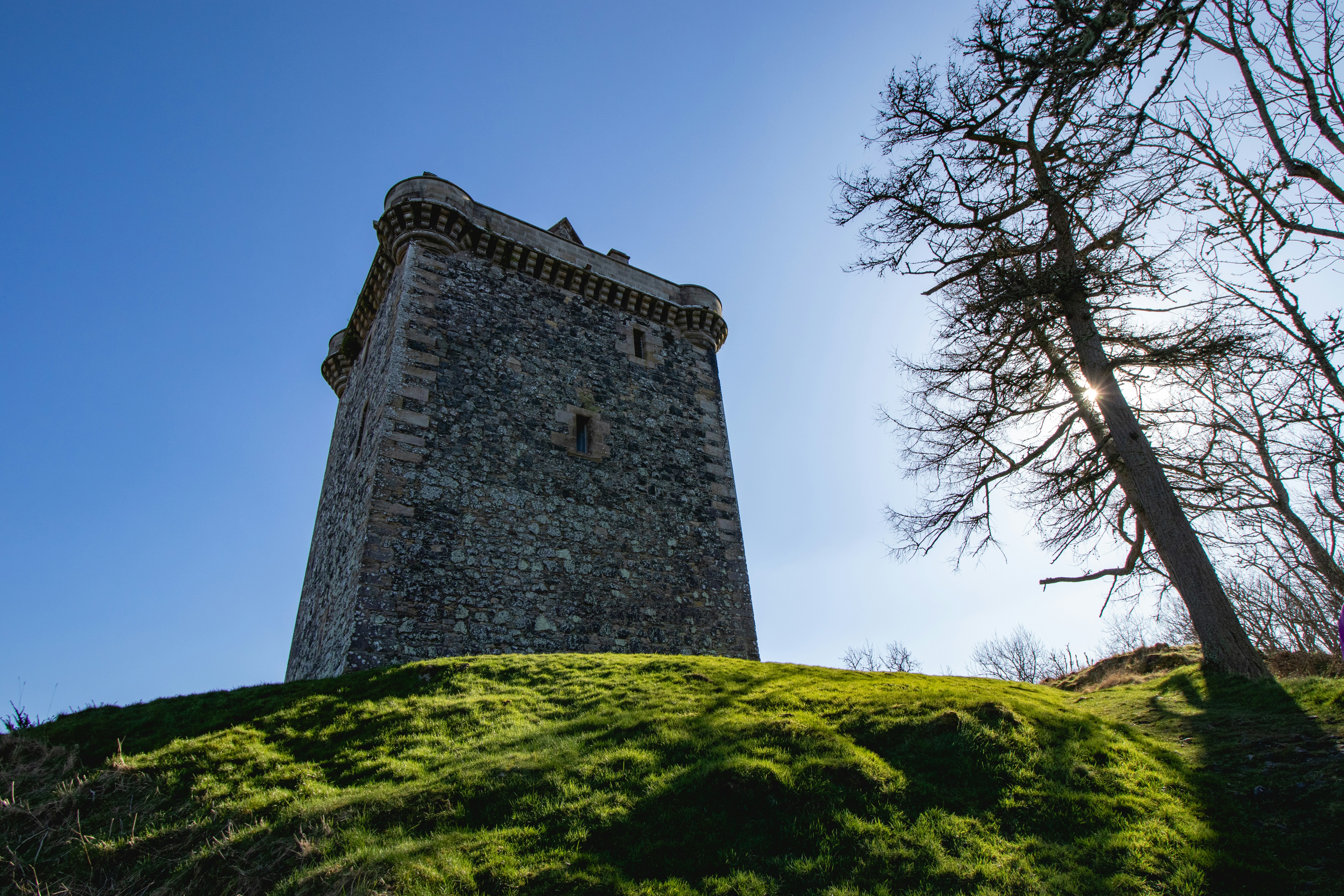 Photo by tpminettphotography