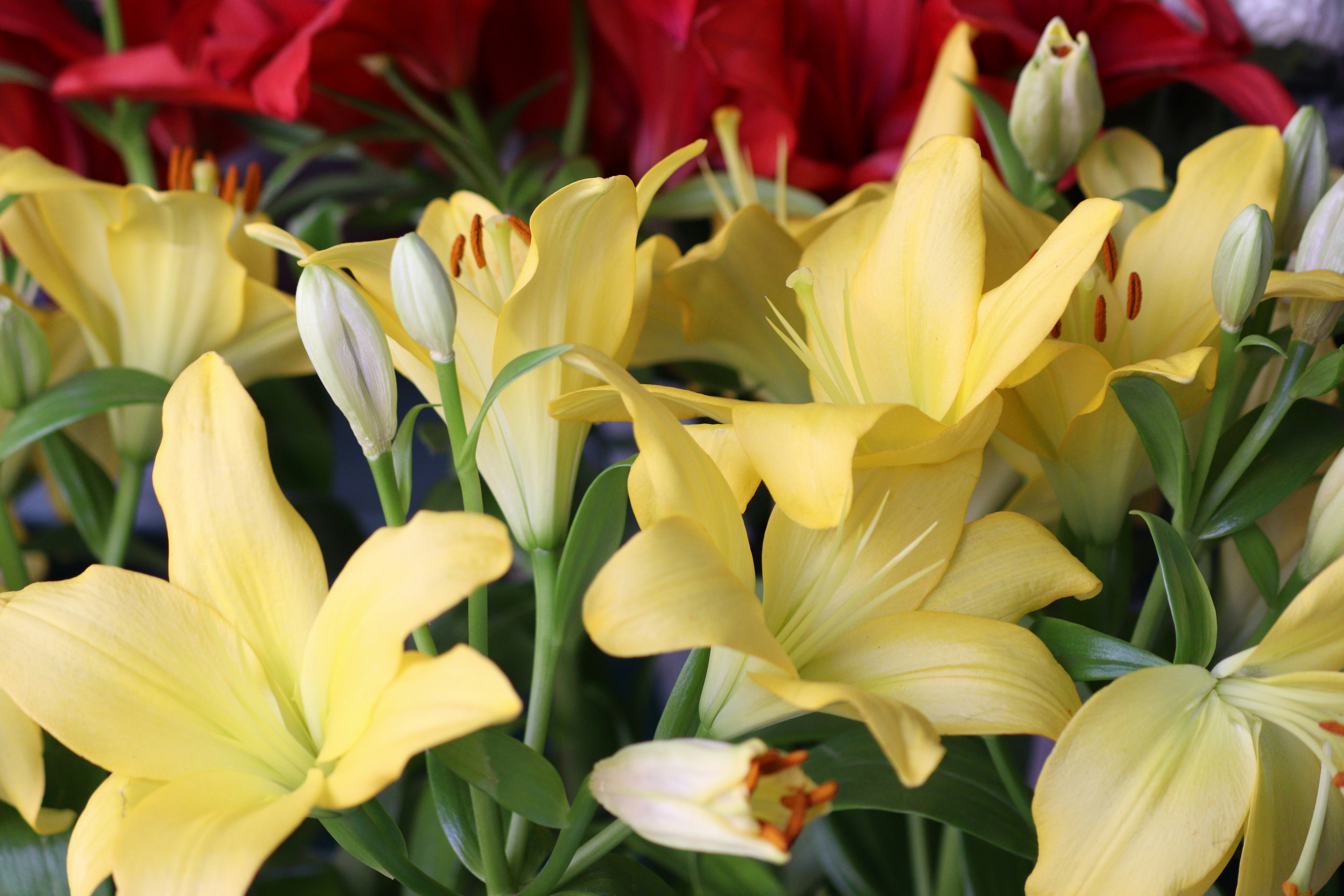 Photo by fotografialuivlad