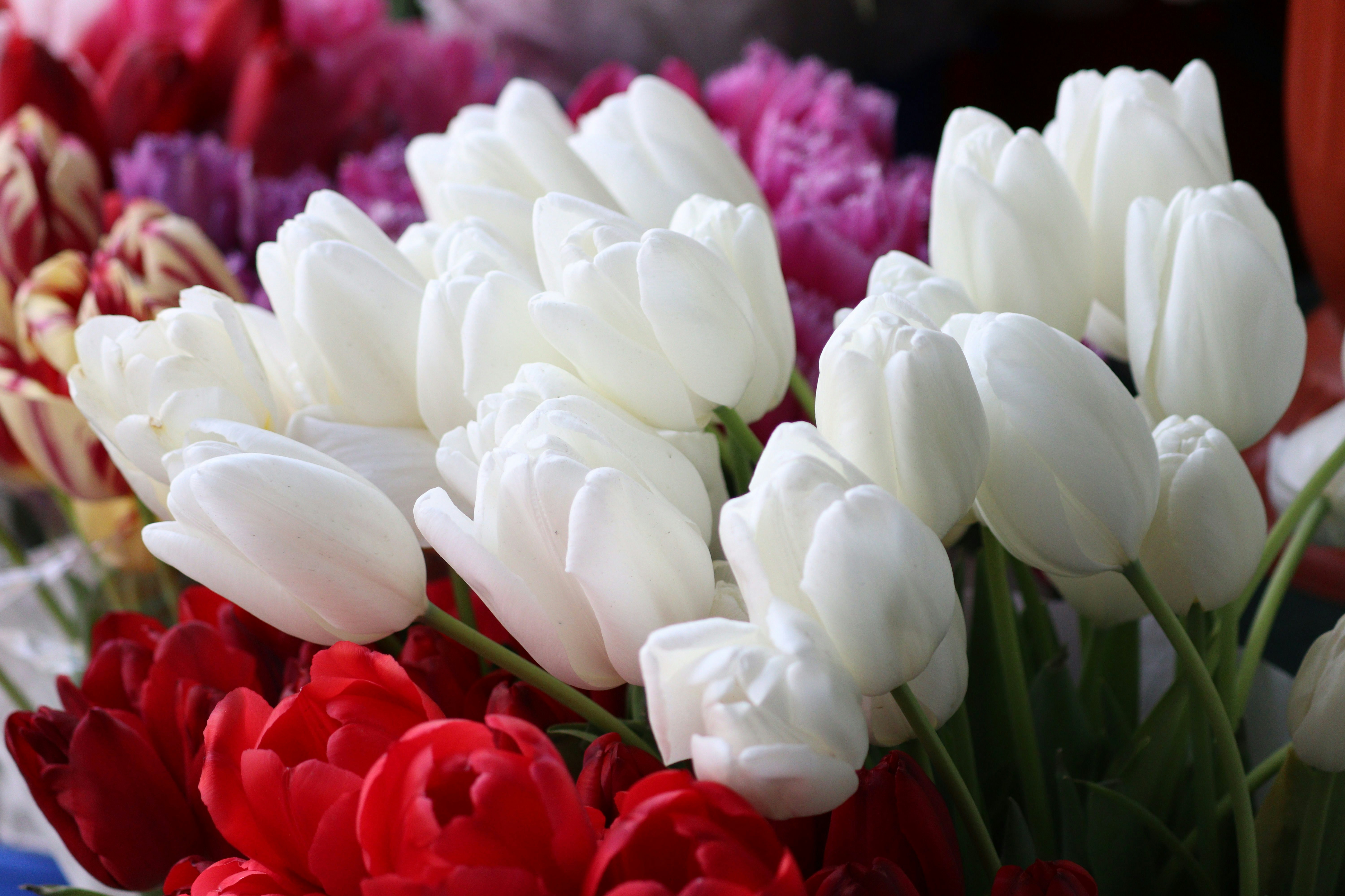 Photo by fotografialuivlad