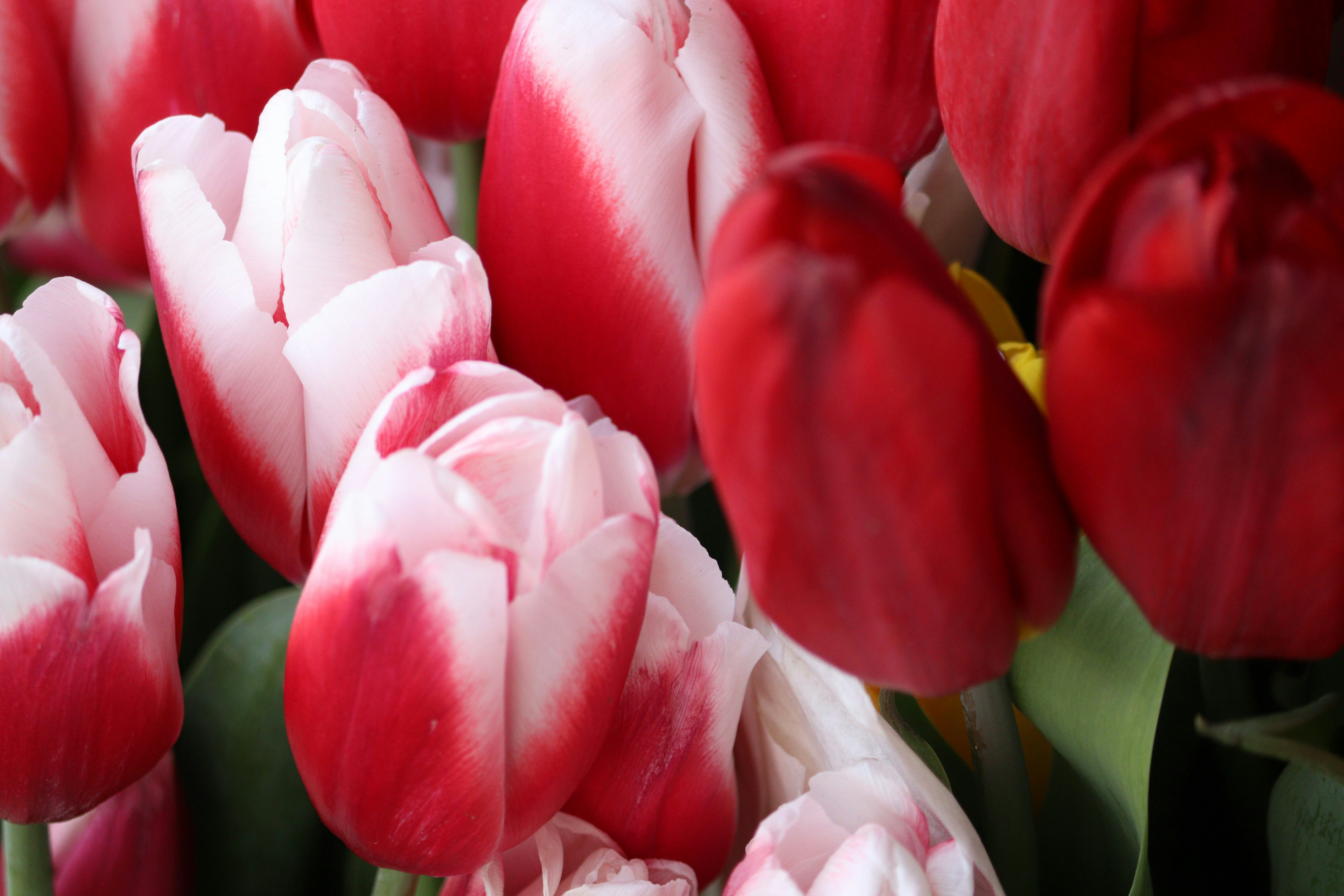 Photo by fotografialuivlad