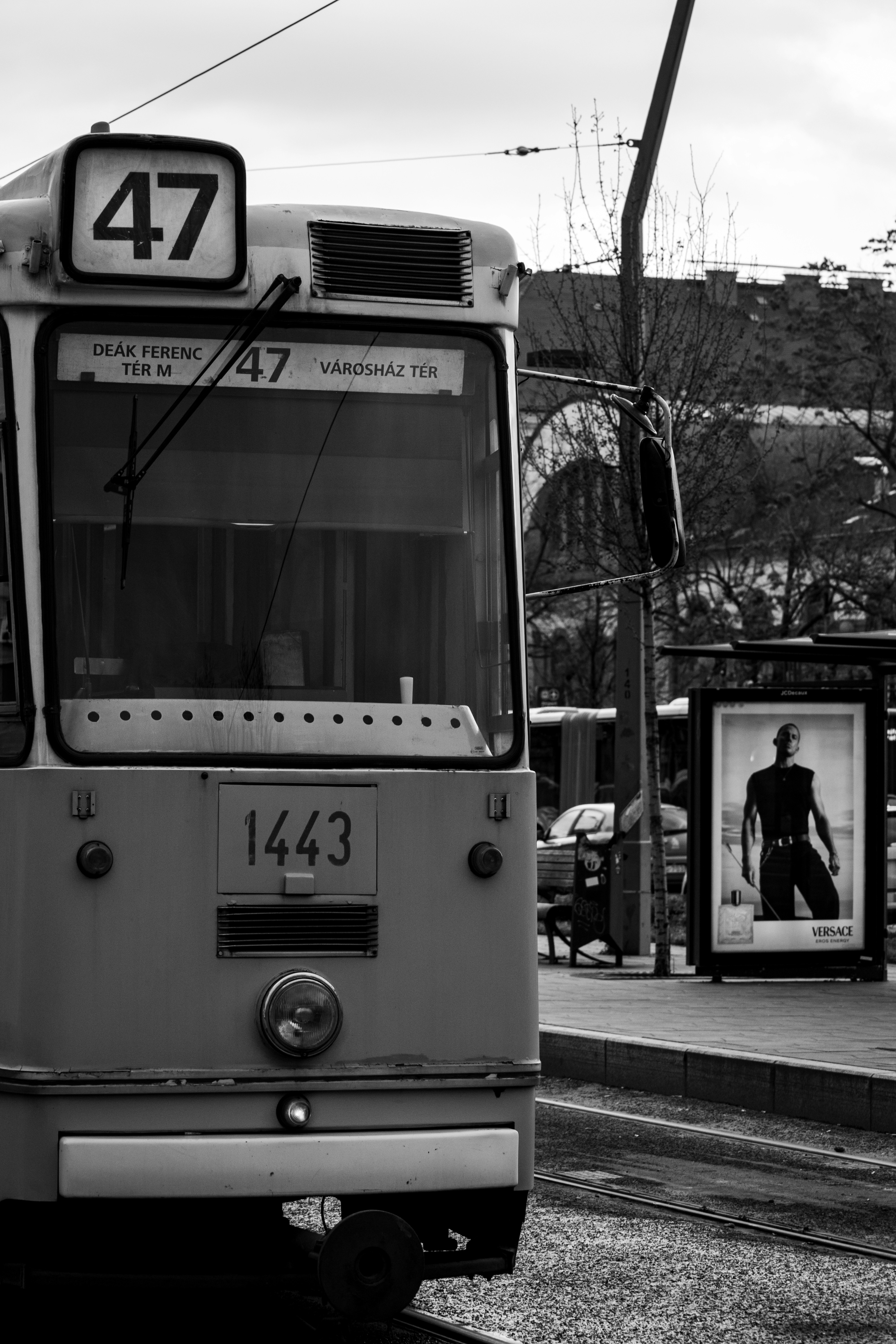 Photo by kristofbogar