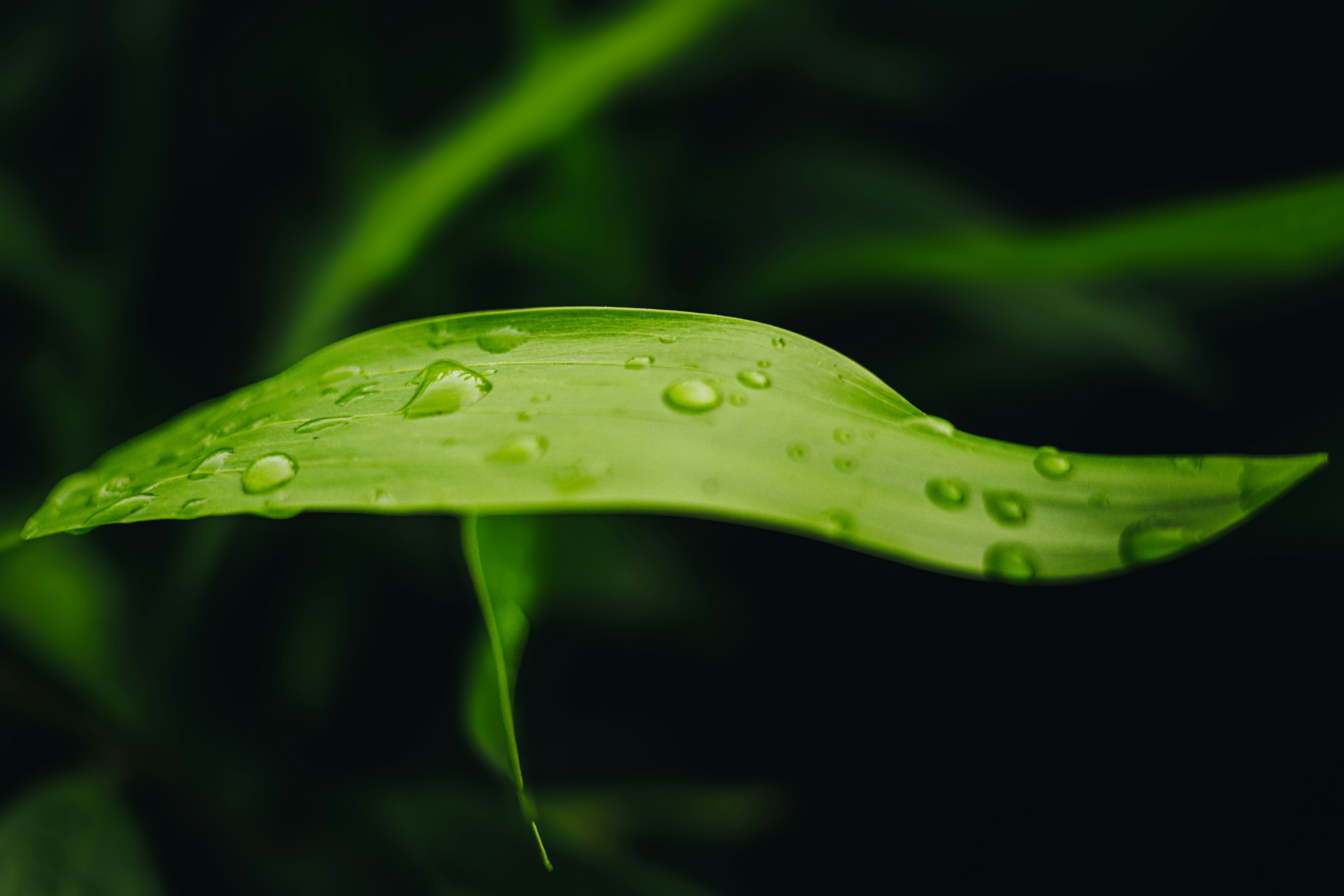 Photo by chuchu123456