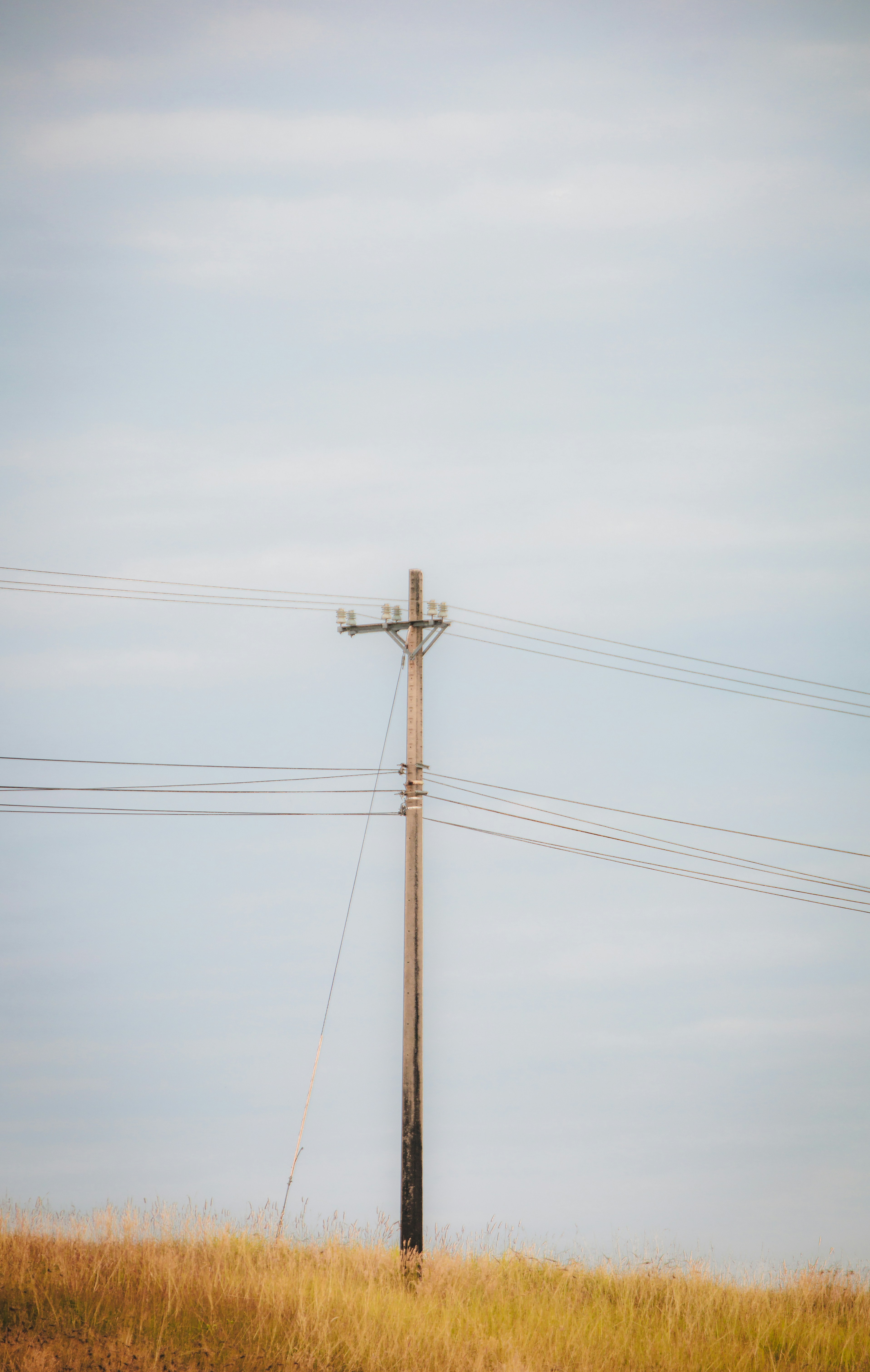 Photo by chuchu123456