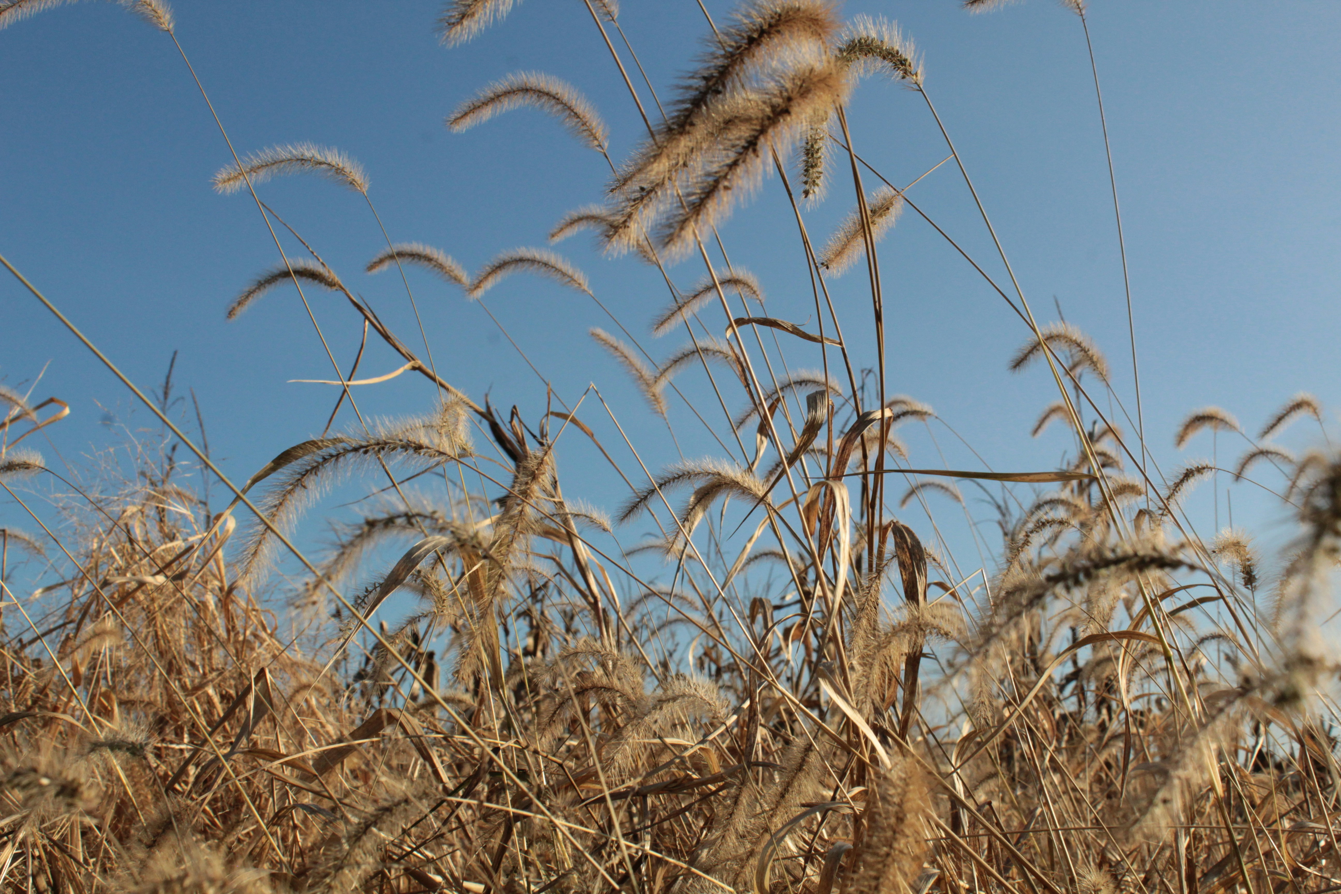 Photo by pattitorcik