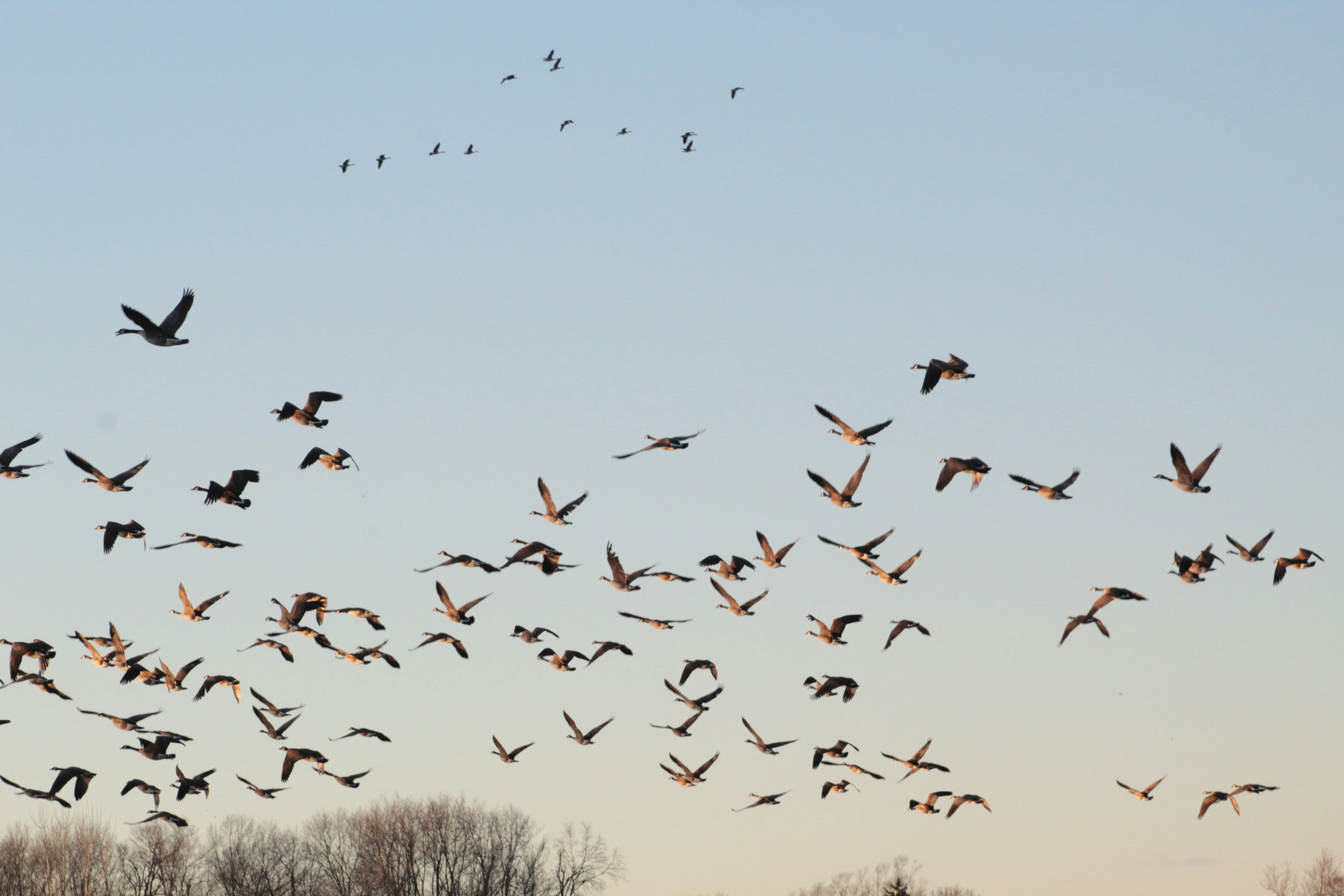 Photo by pattitorcik