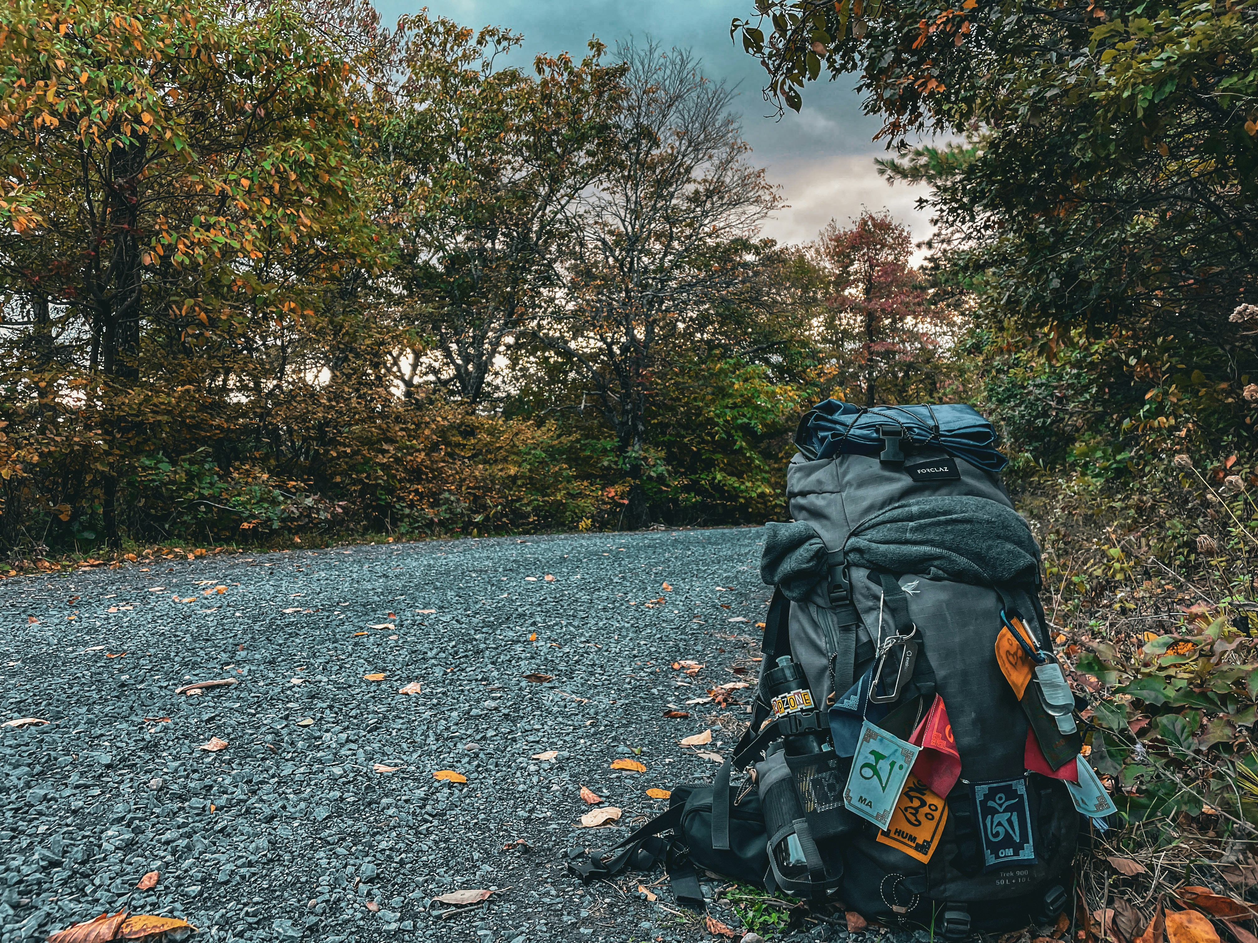 Photo by dhakkitikki