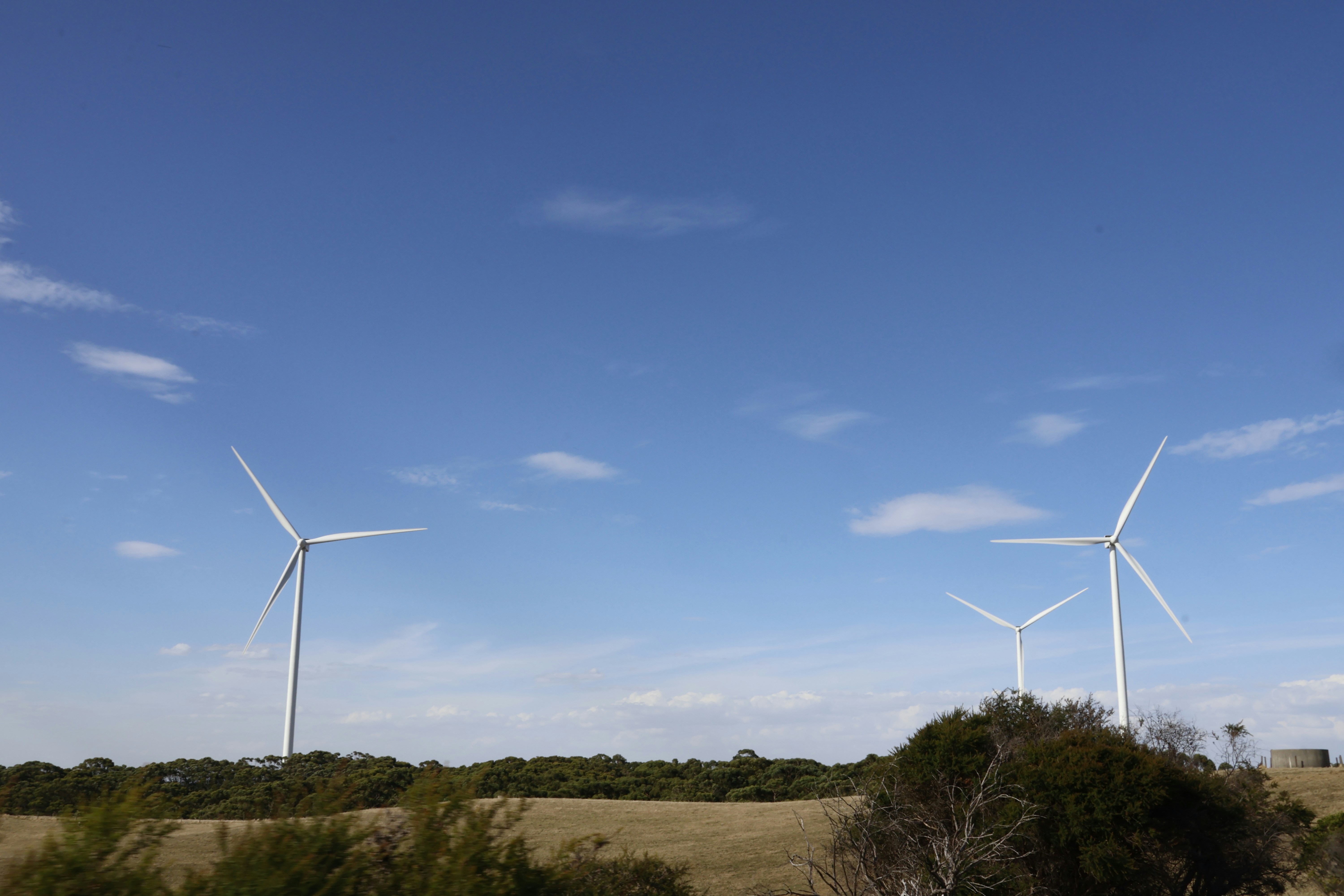 Investment Value Assessment of HD Hyundai Group’s Listed Companies: Portfolio Analysis in the Era of Renewable Energy Transition