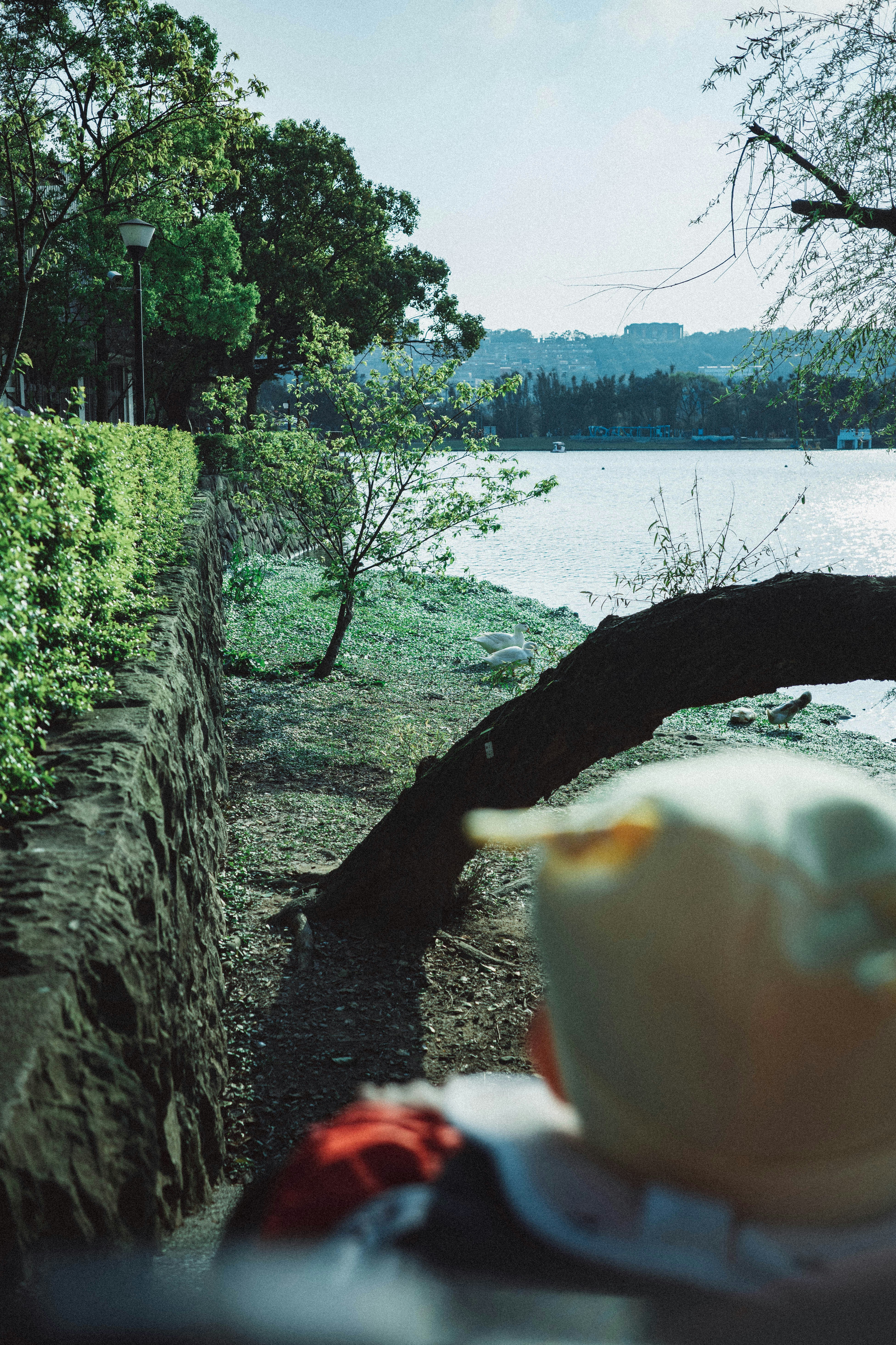 Crater lake and hot spring