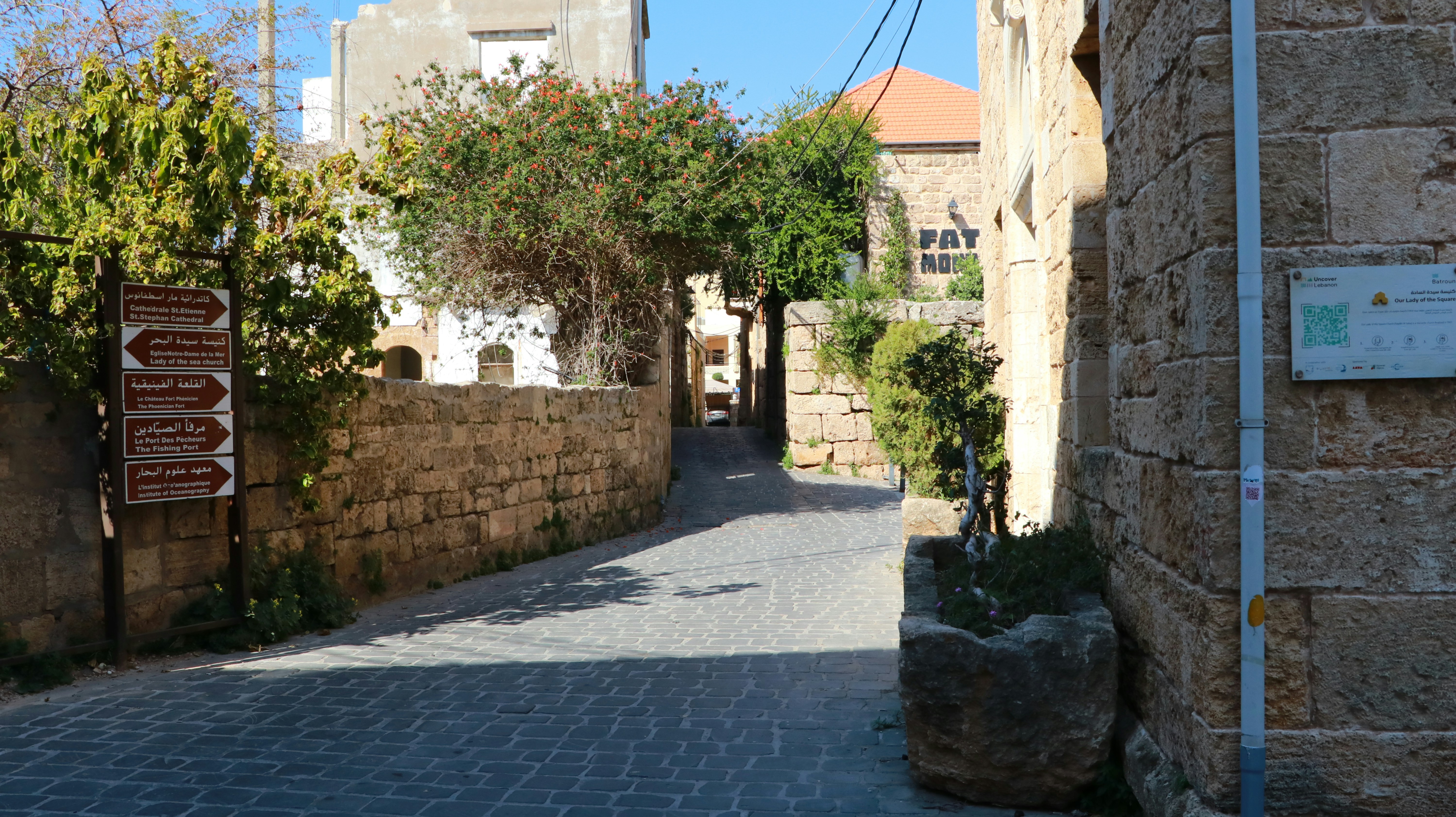 Photo by jack_harbieh