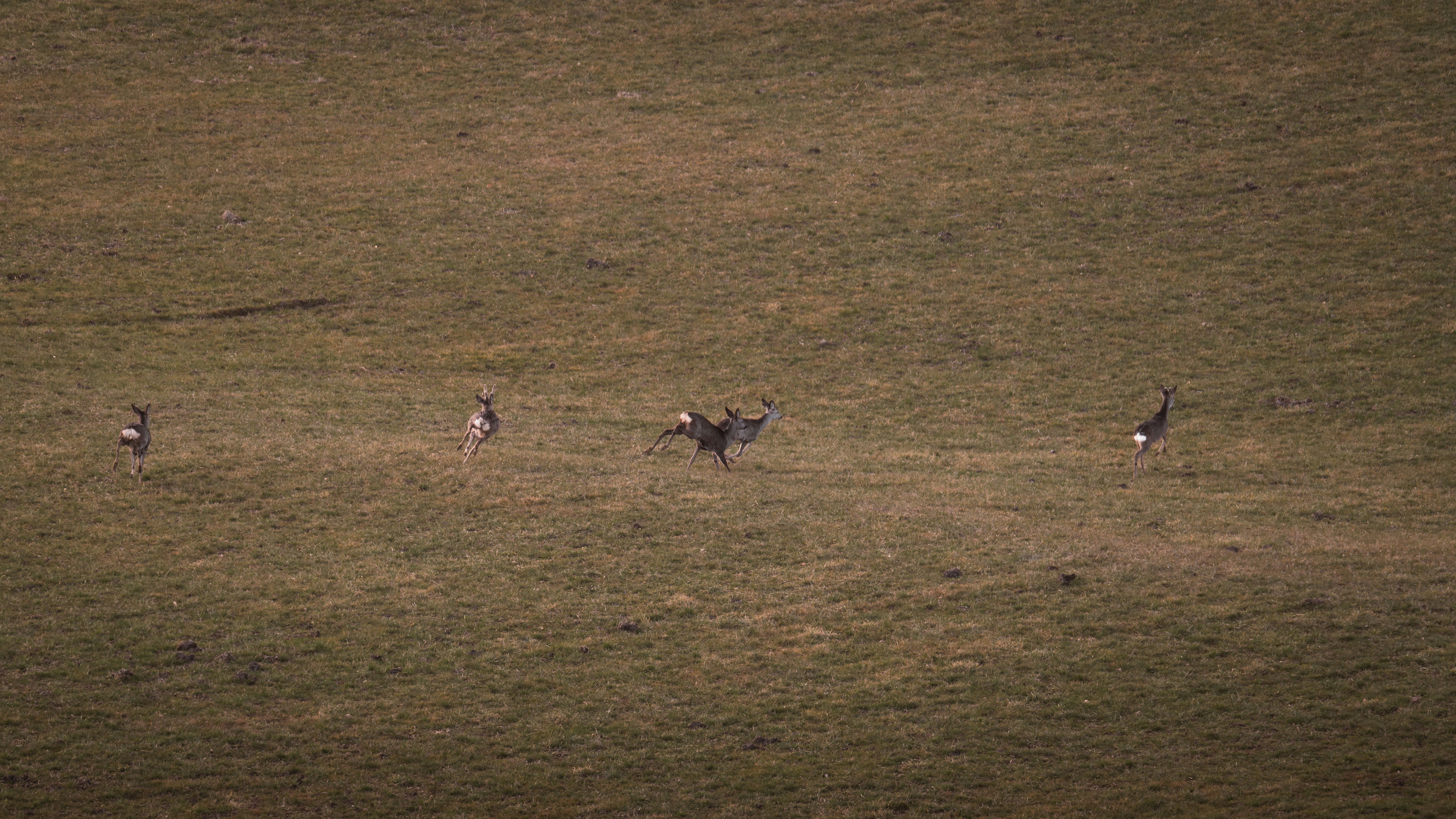 Photo by ahmetyuksek