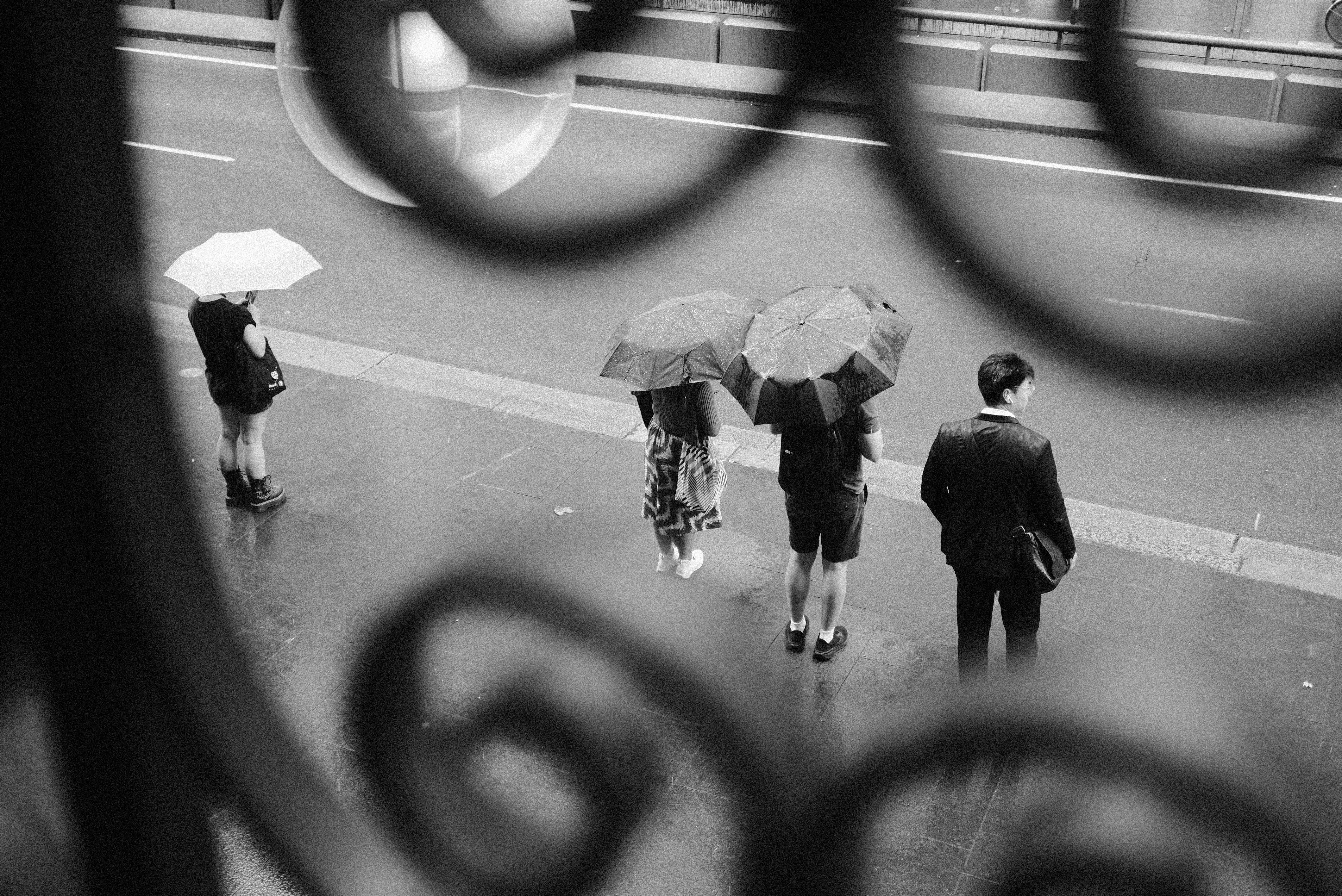 Personas con sombrillas se paran bajo la lluvia.