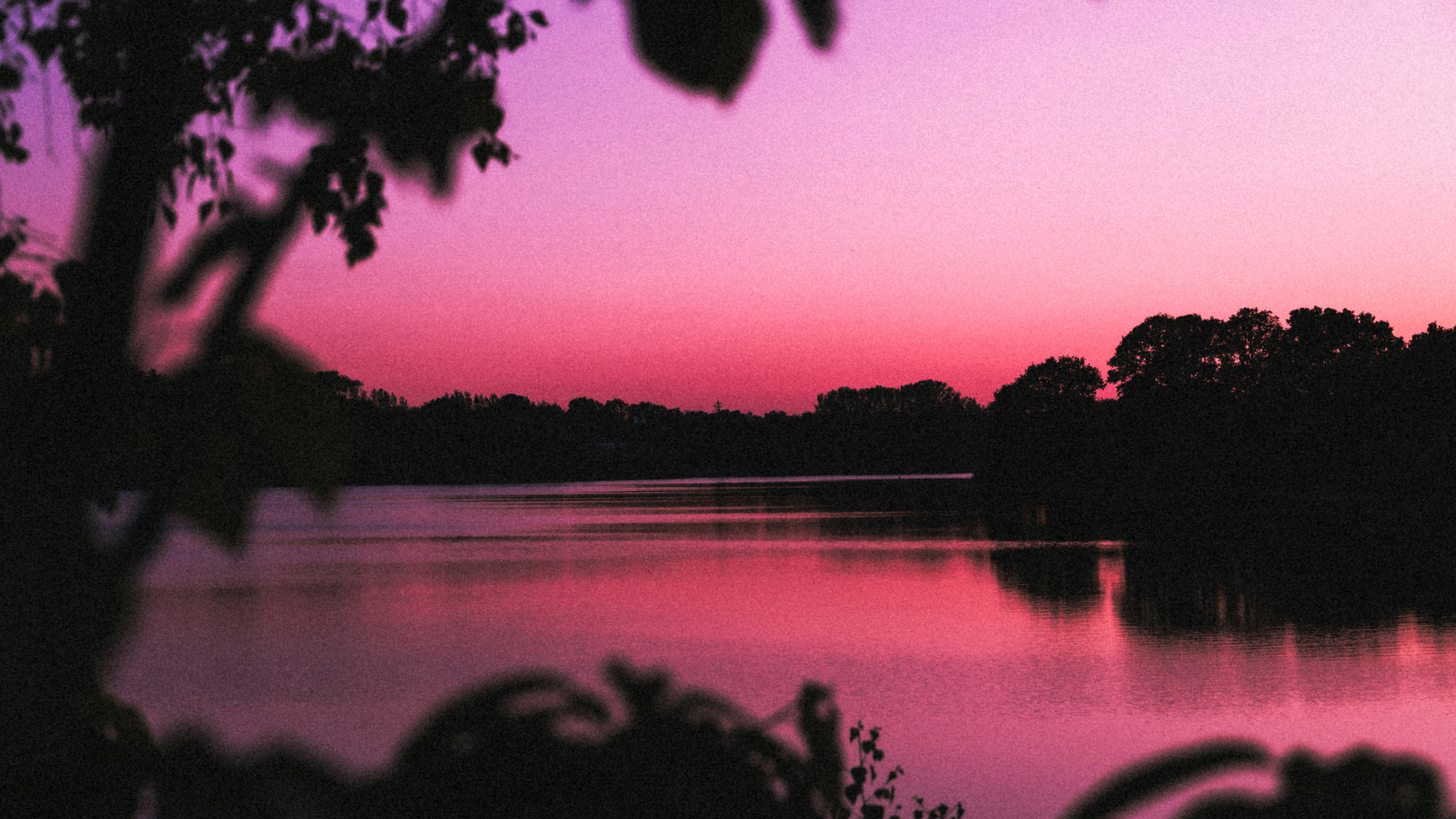 A peaceful lake reflects a vibrant pink sunset.