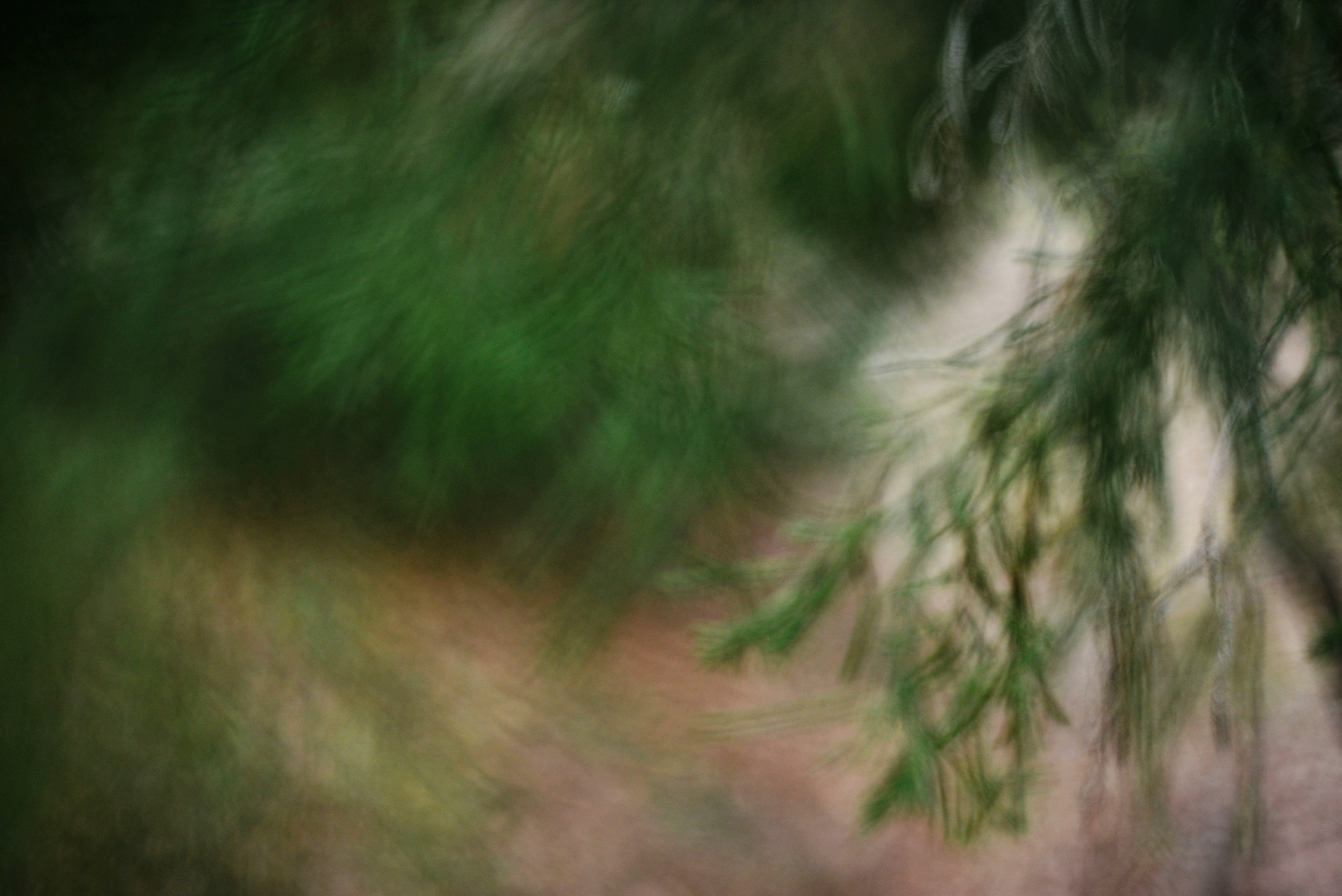 Photo by cherstve_pechivo