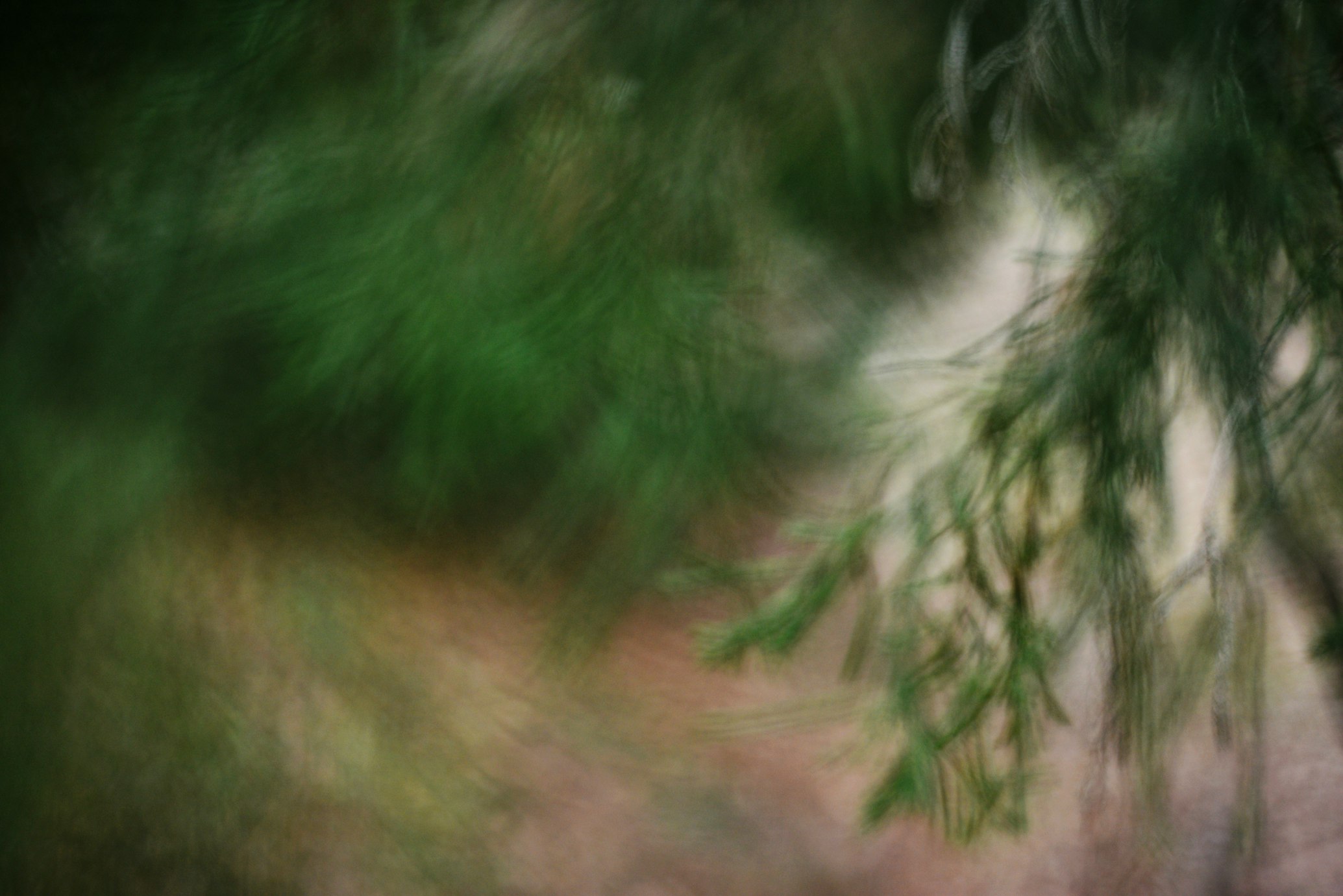 PPO——近端策略优化算法