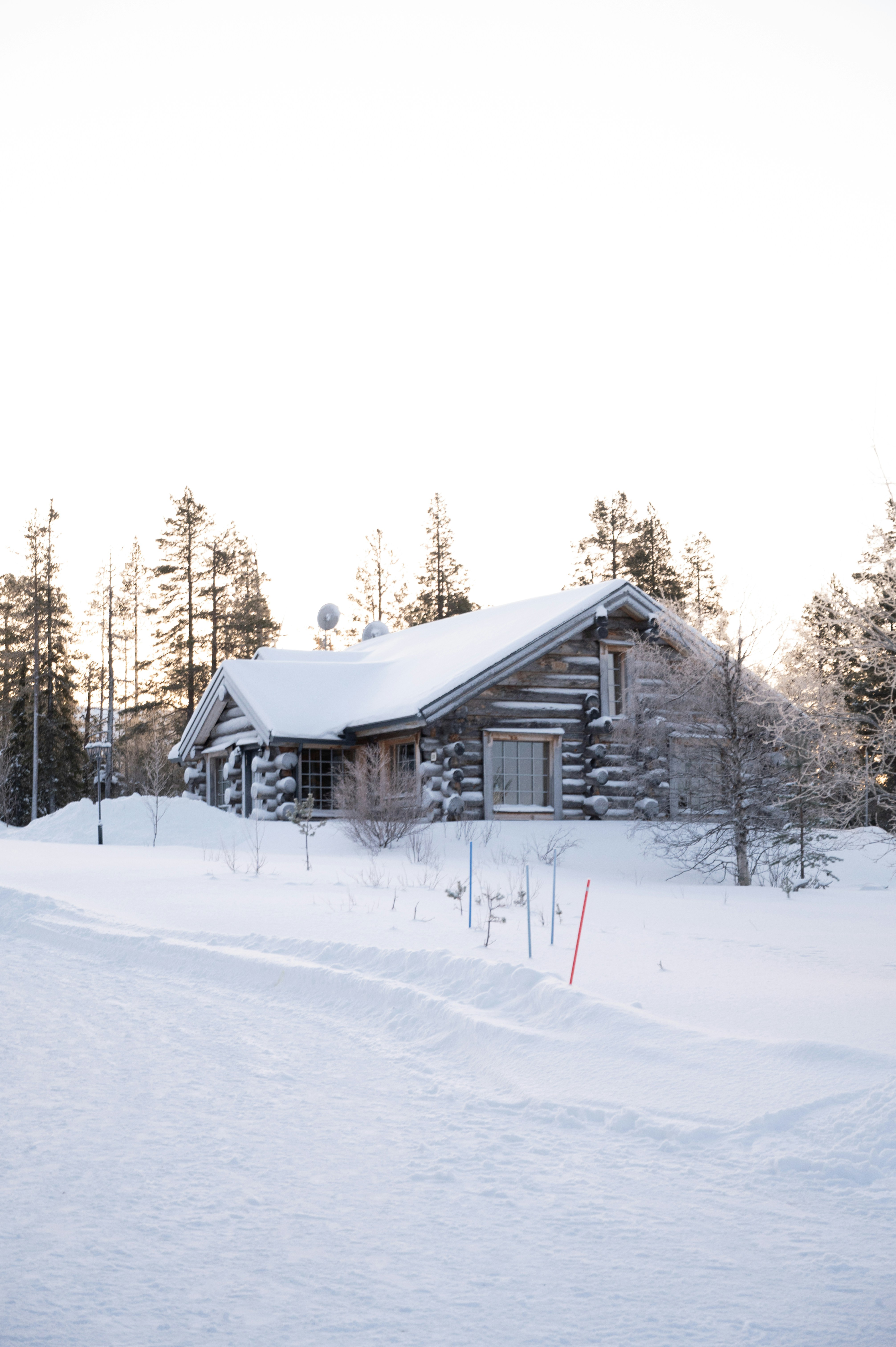 Uma cabana na floresta coberta de neve foto – Imagem grátis sobre Papel de  parede na Unsplash, image size:3000x4509