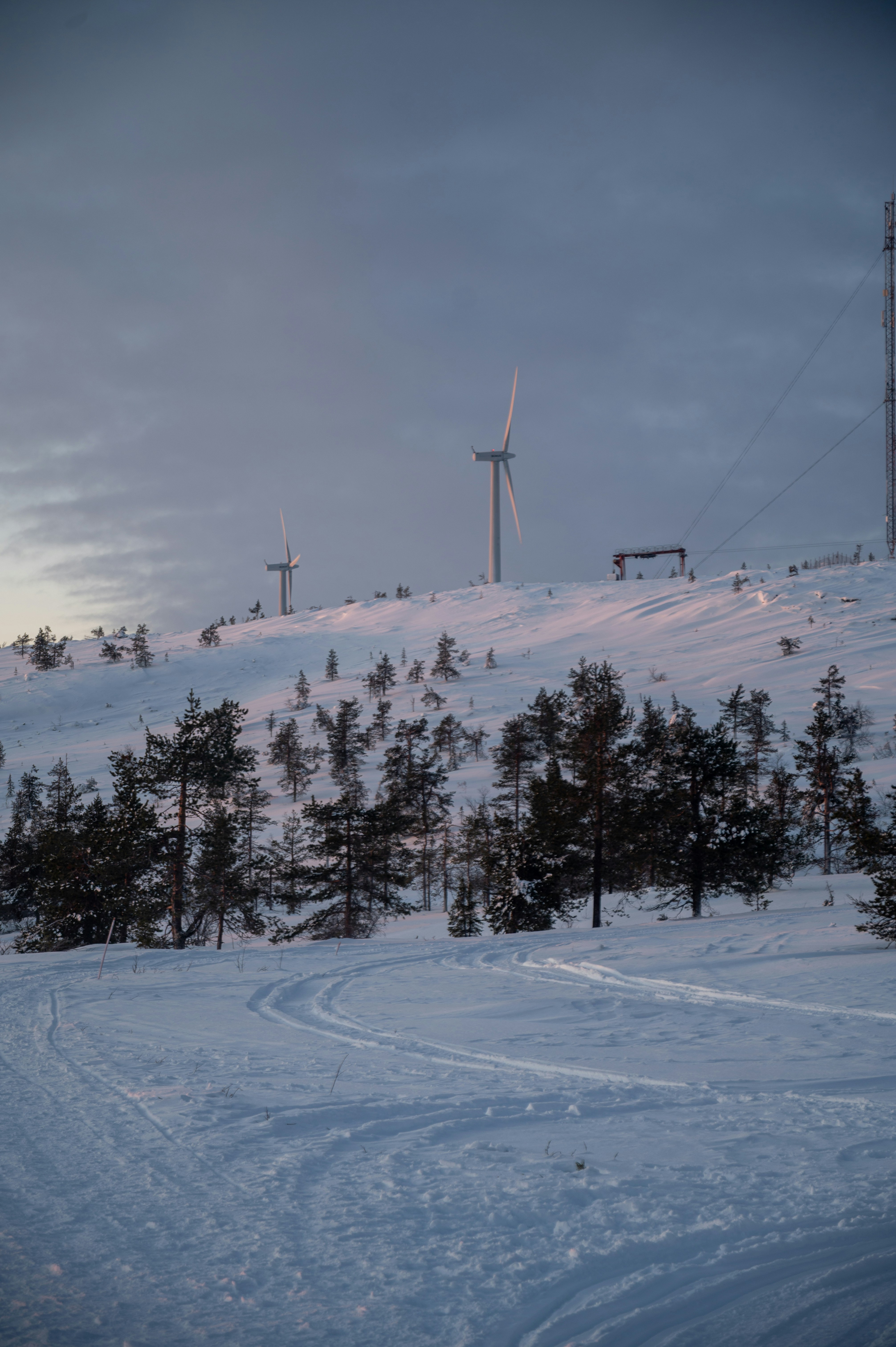 Photo by oscarbrouchot