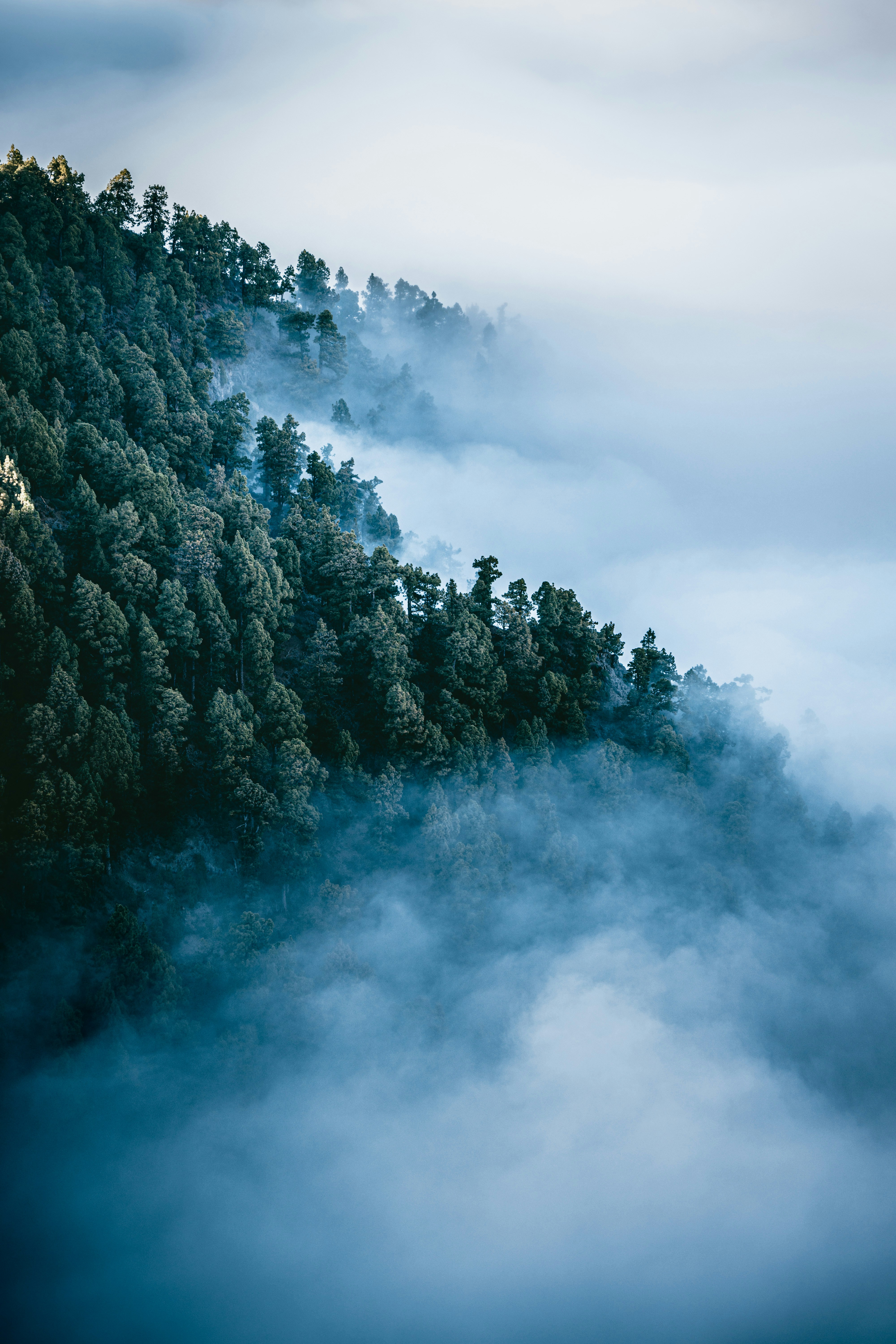 Photo by lukethorntonofficial