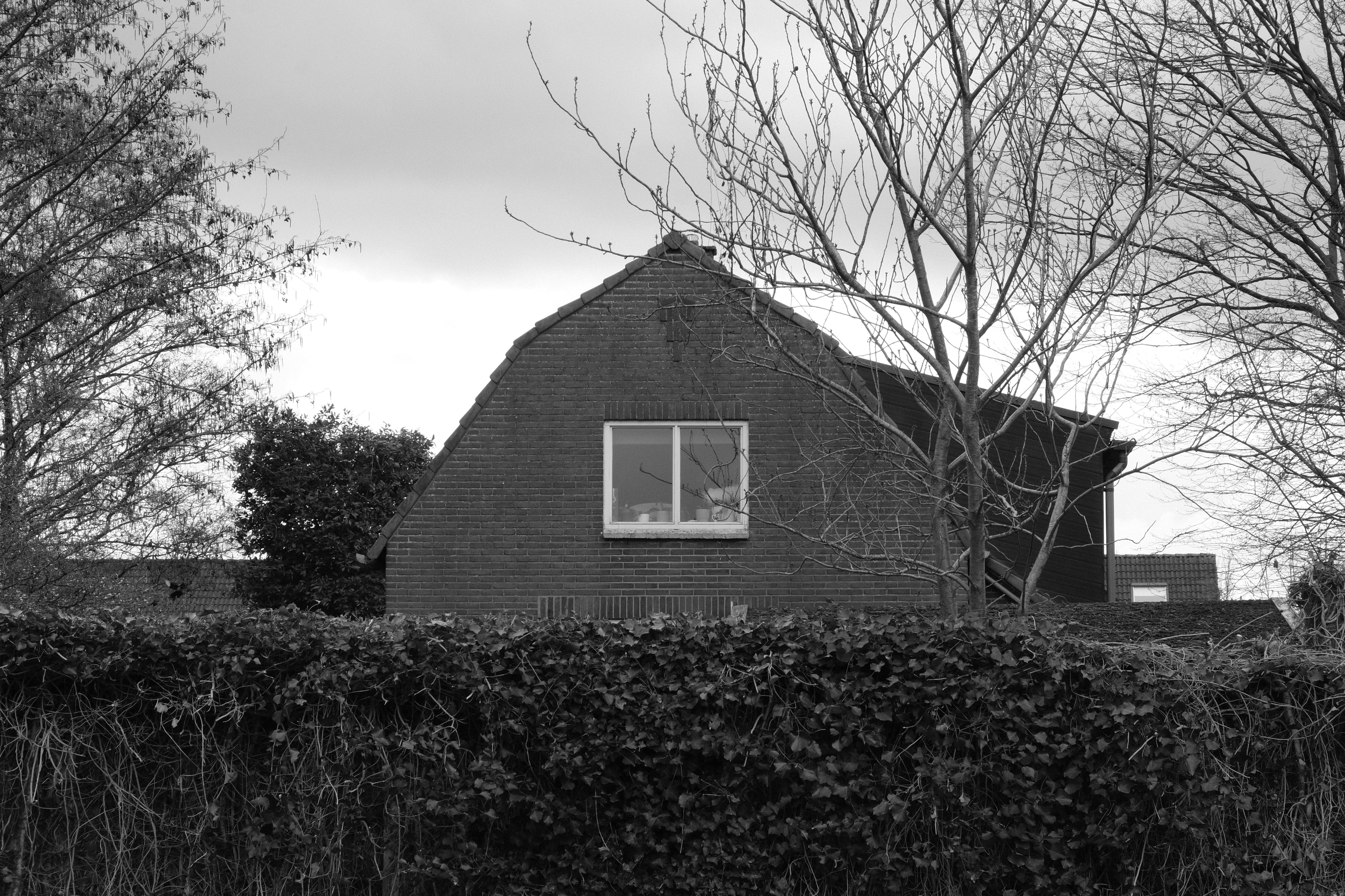 Photo by kyantijhuis