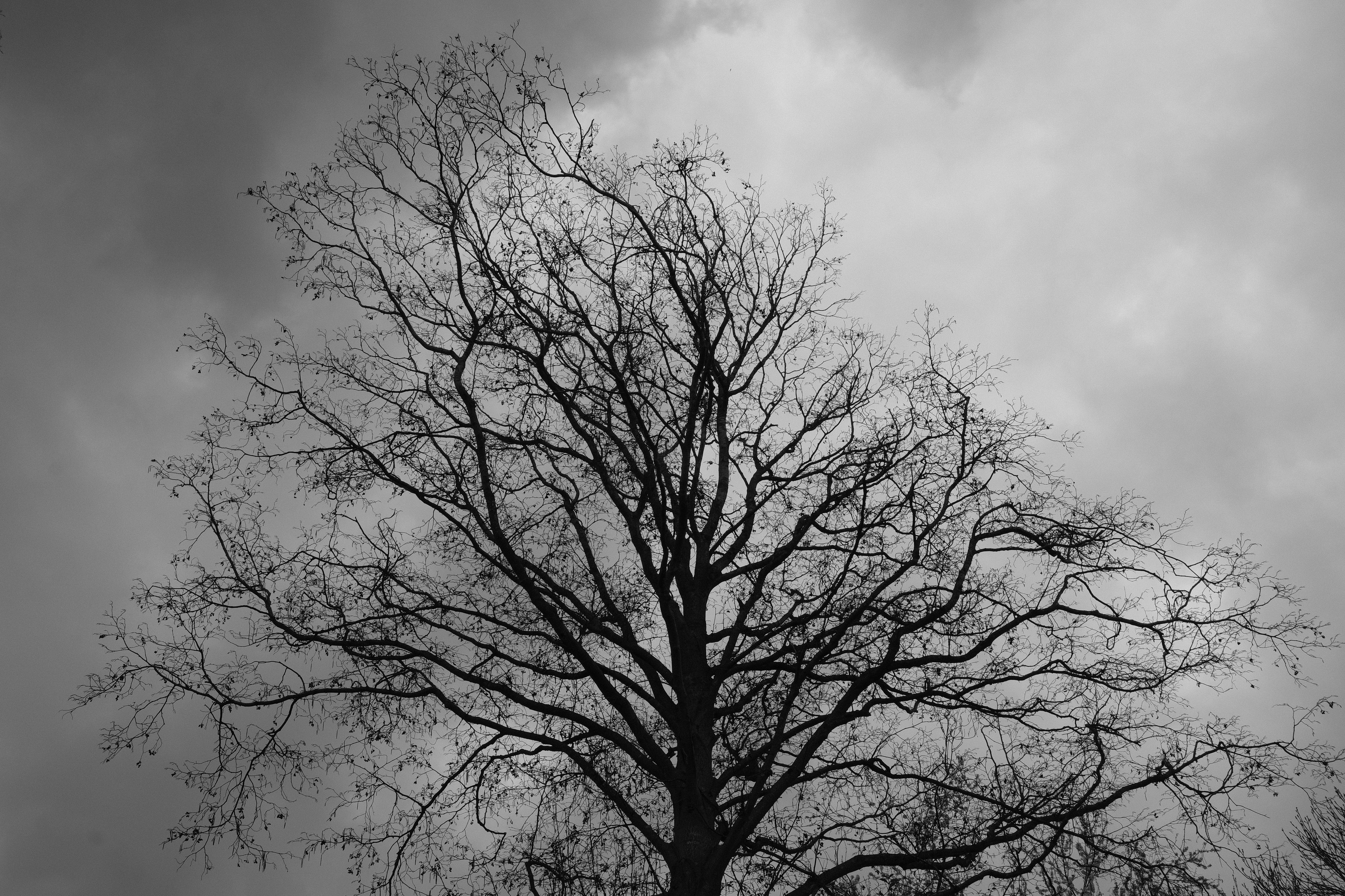 Photo by kyantijhuis