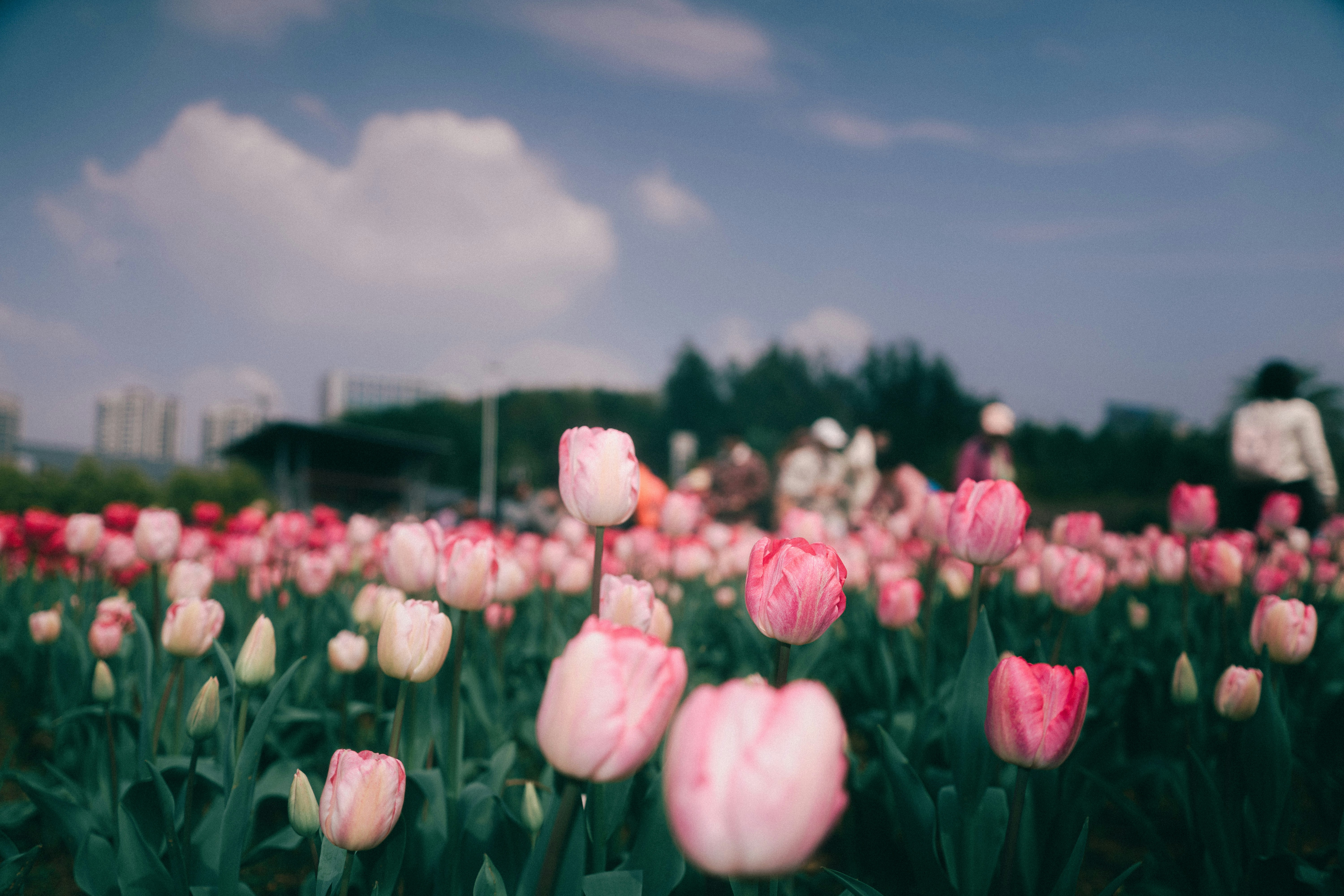 Photo by xiexianghua