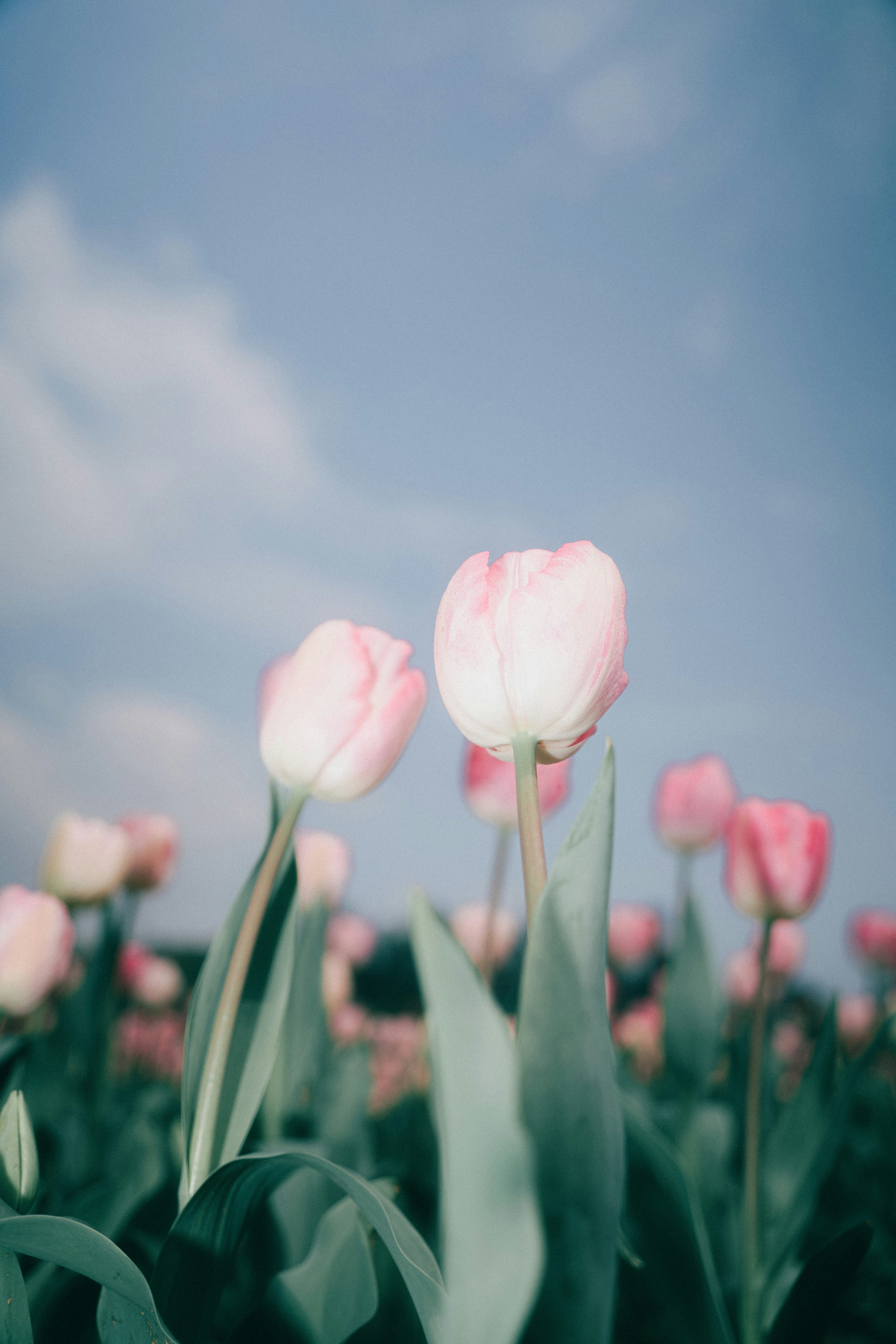 Photo by xiexianghua