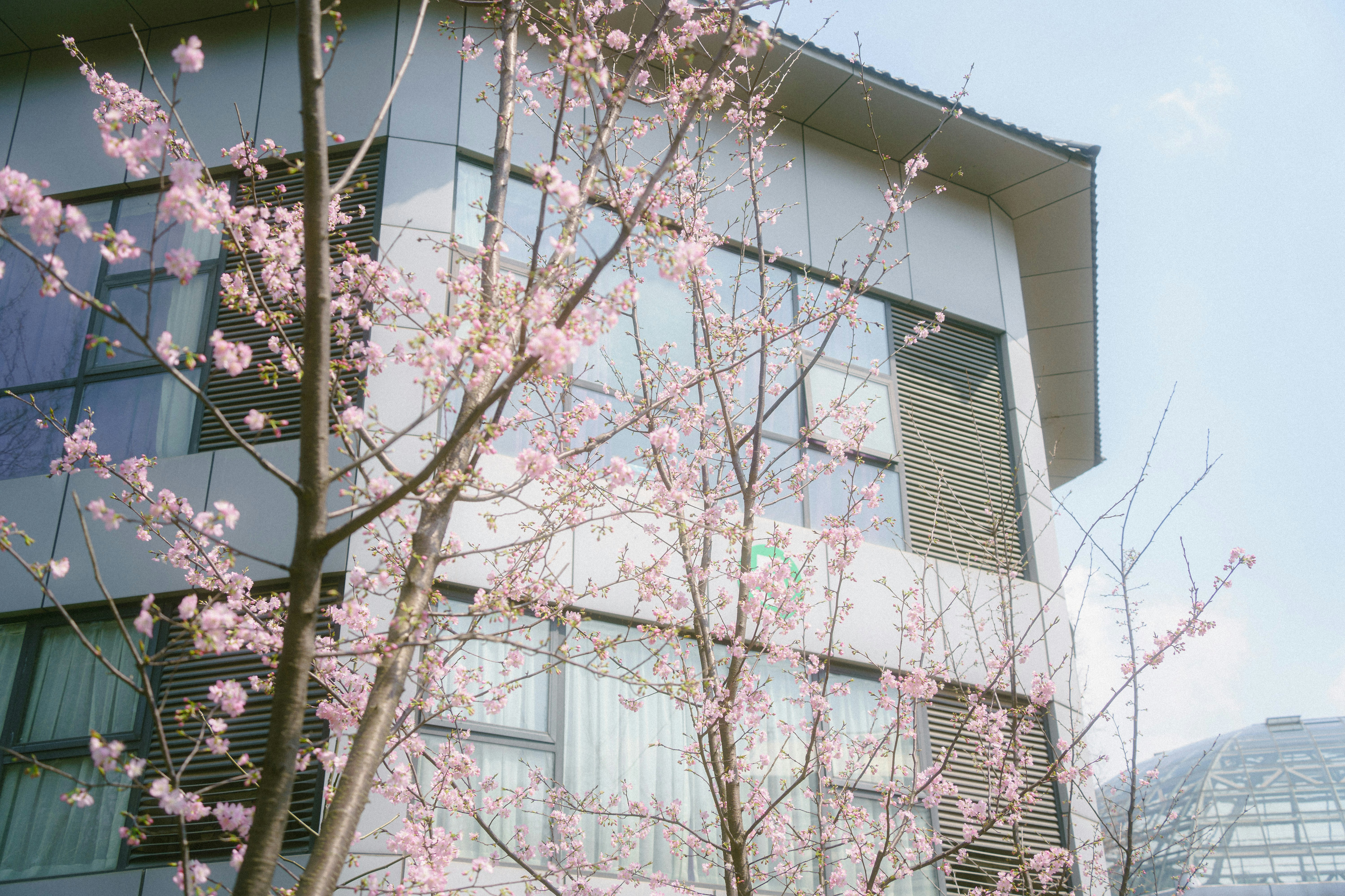 Photo by xiexianghua