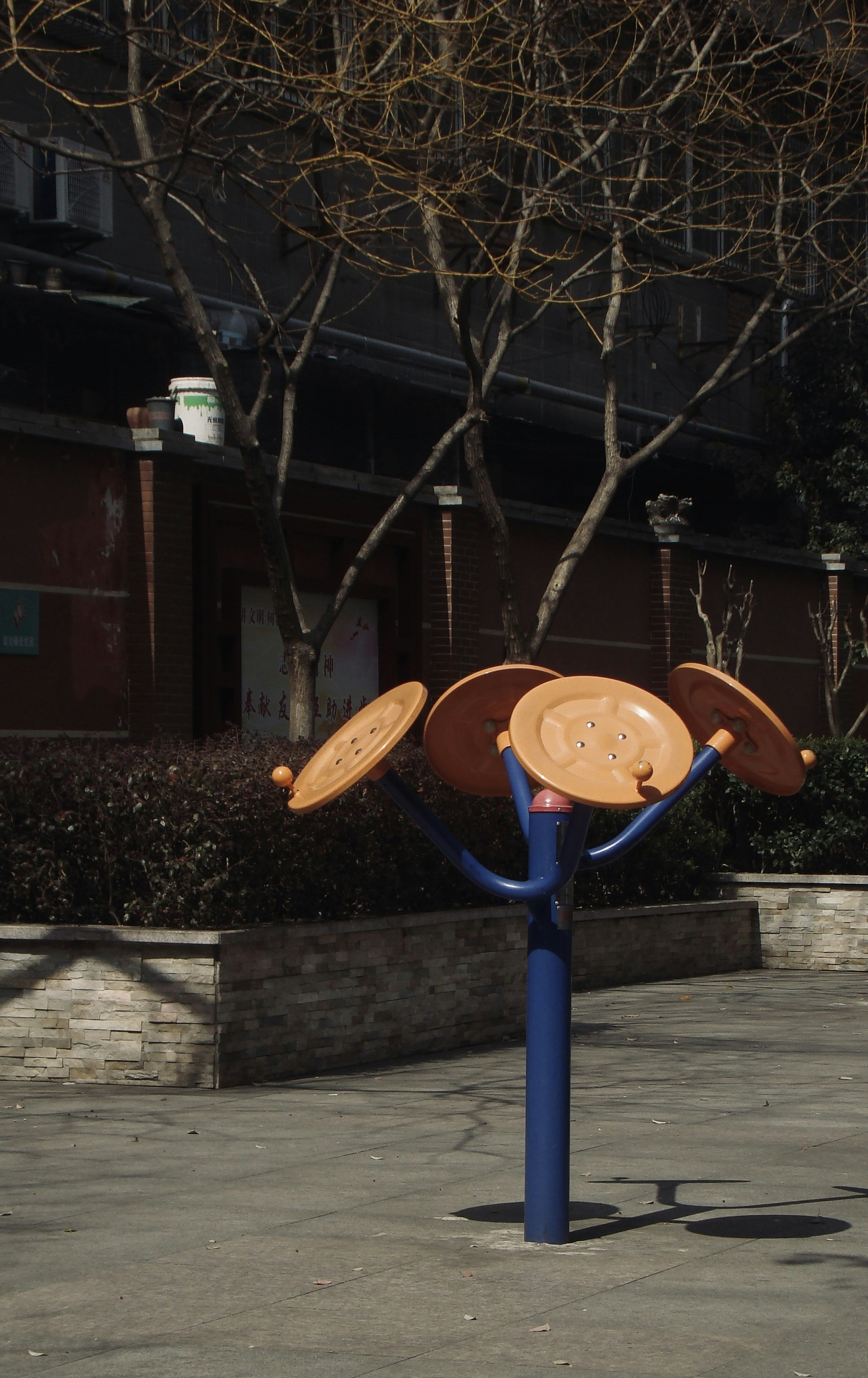 Gym equipment with a tree in the background