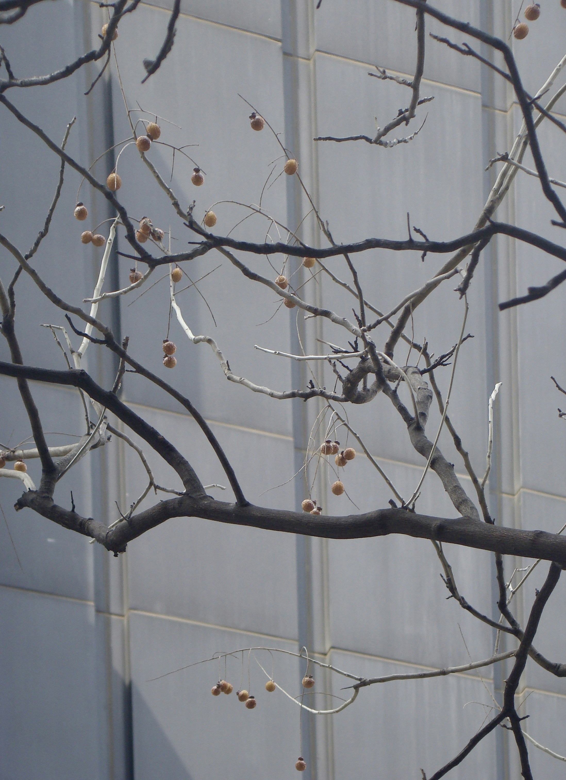 Photo by maro_of_sengu