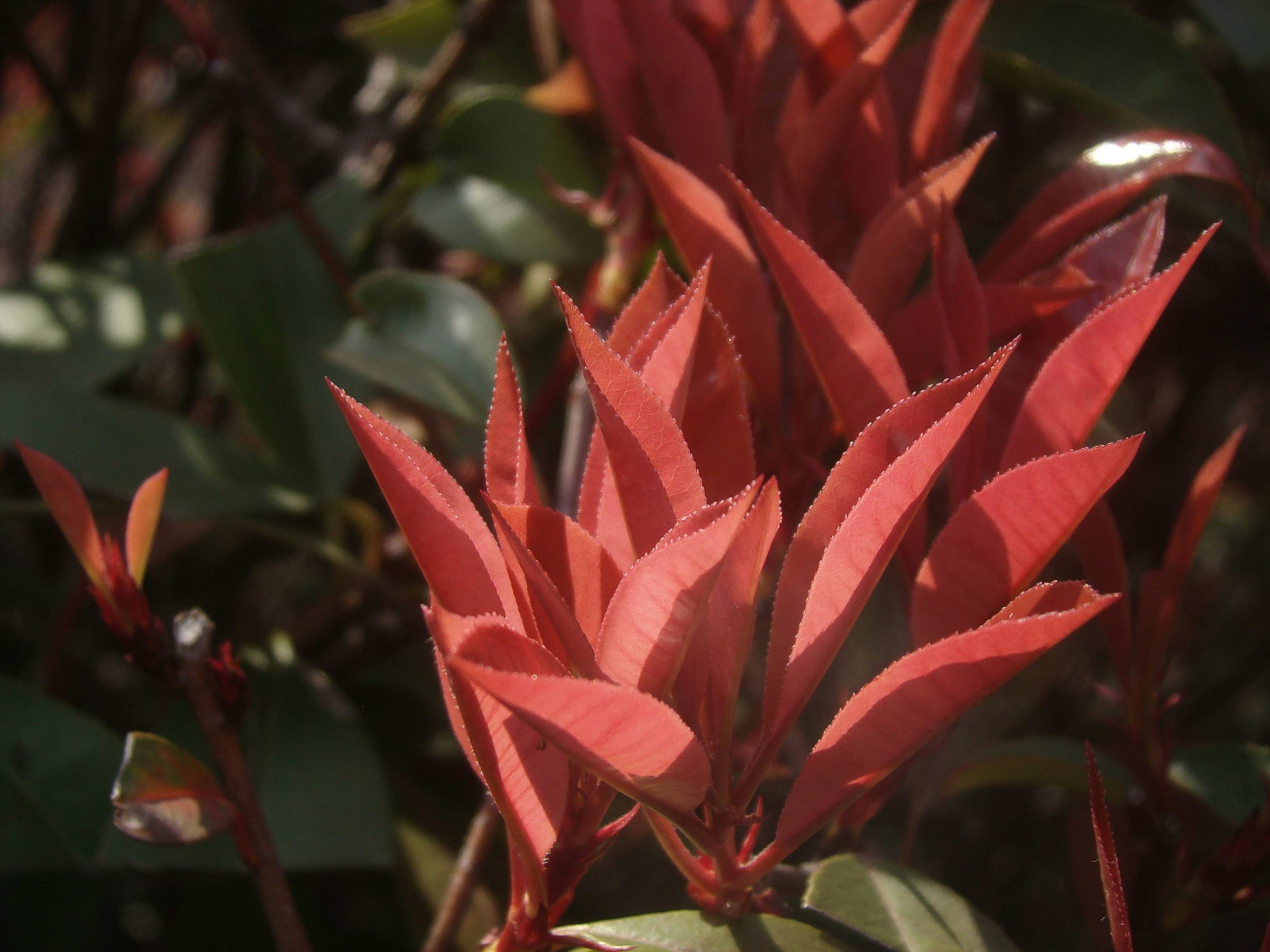 Photo by maro_of_sengu