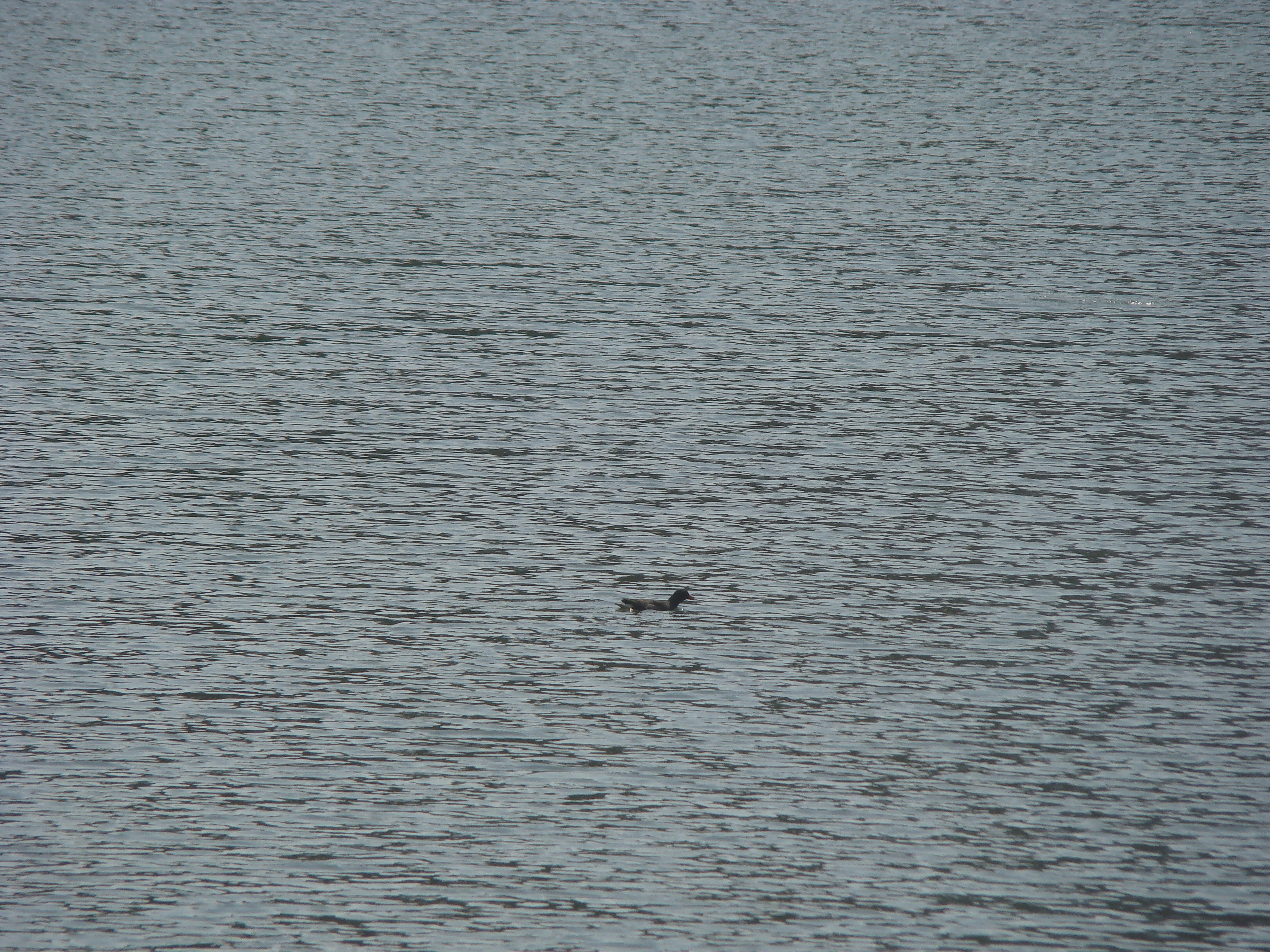 Photo by maro_of_sengu