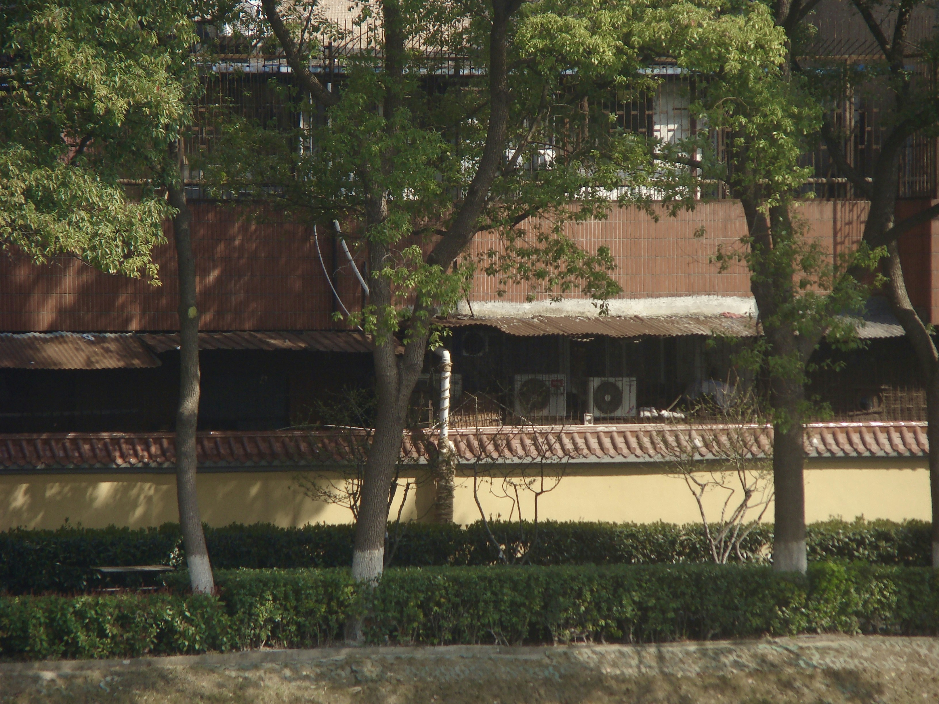 Trees frame a traditional building with a wall.