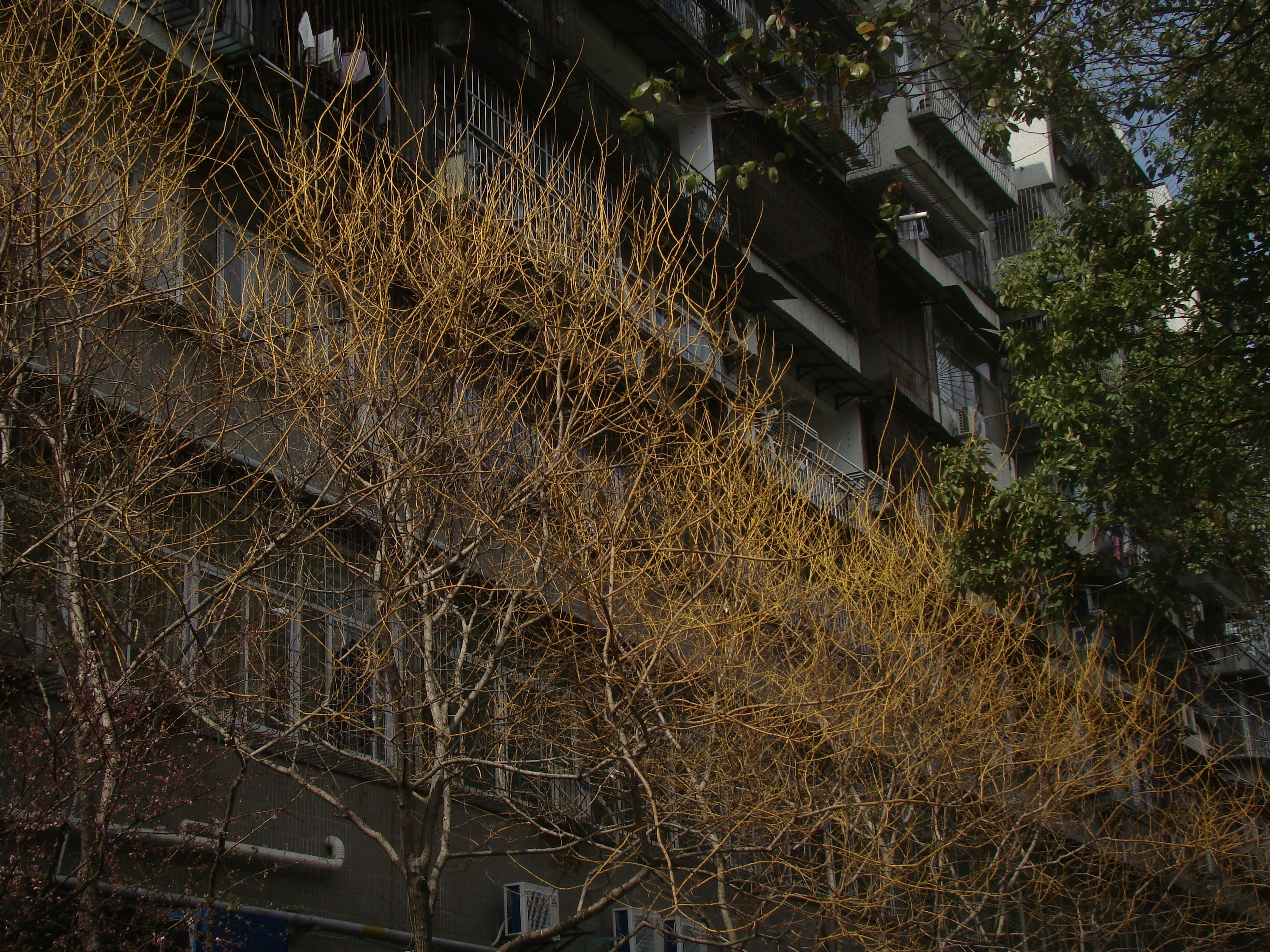 Photo by maro_of_sengu