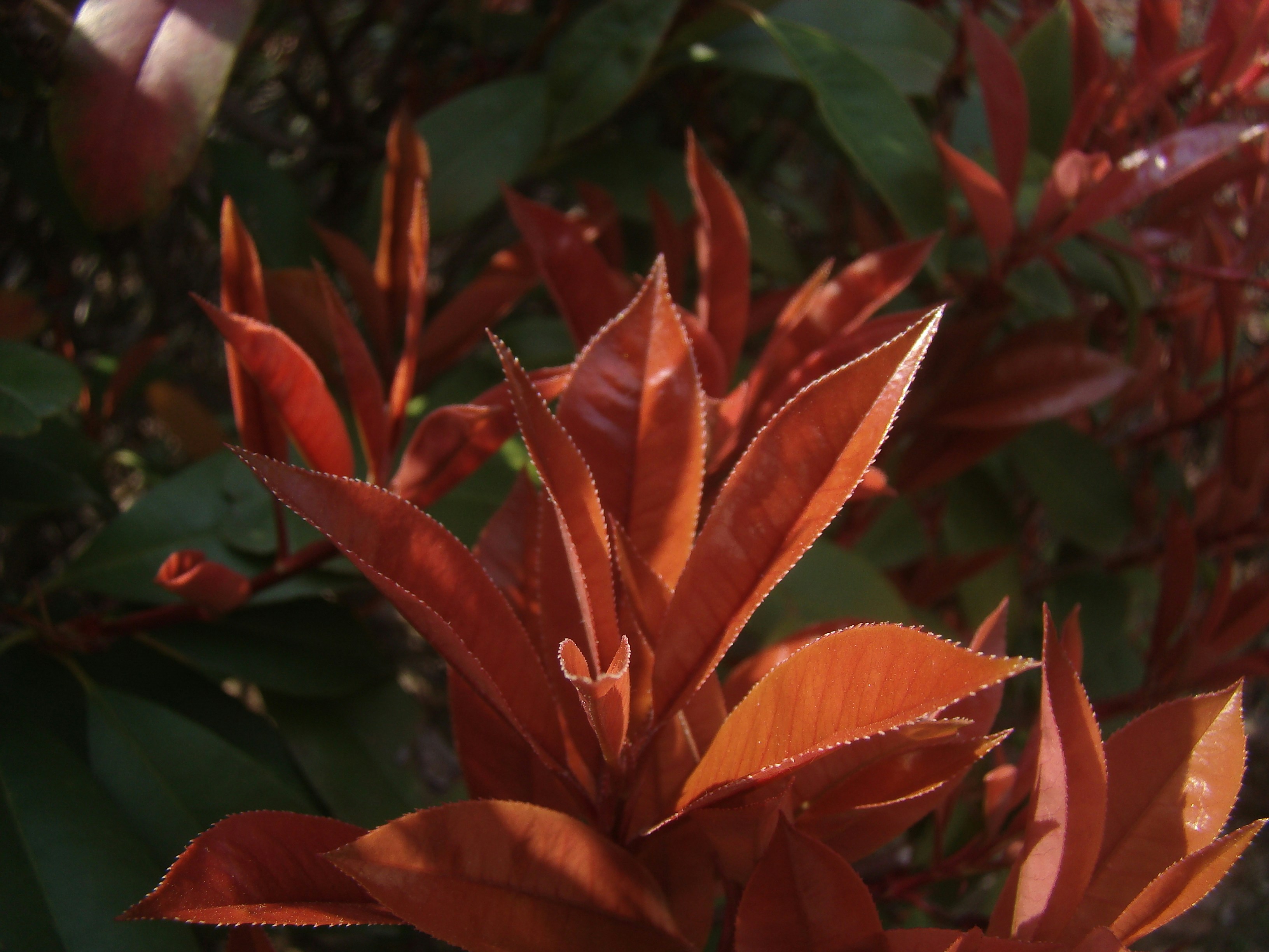 Photo by maro_of_sengu