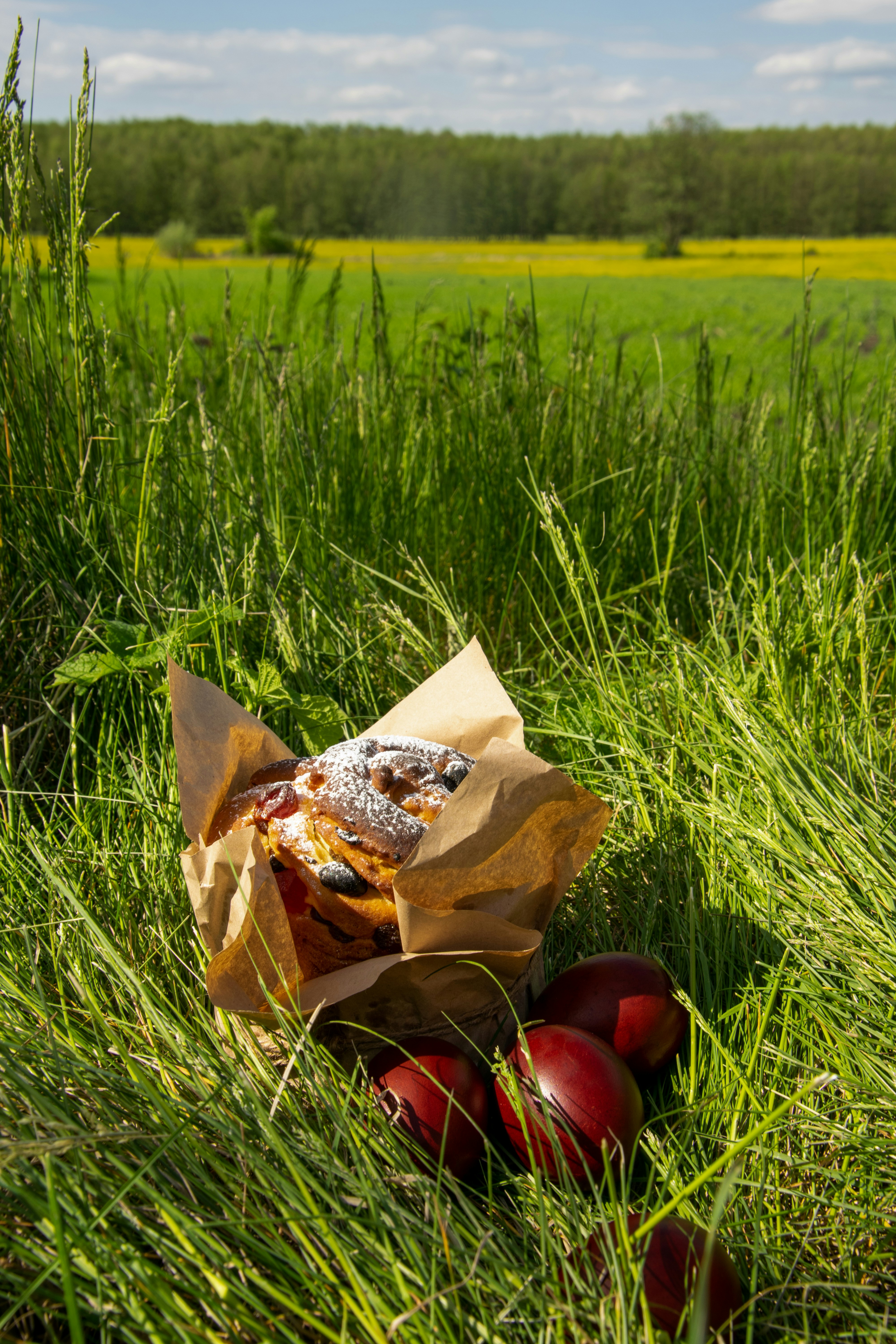 Cesta de picnic con golosinas en un hermoso campo verde.