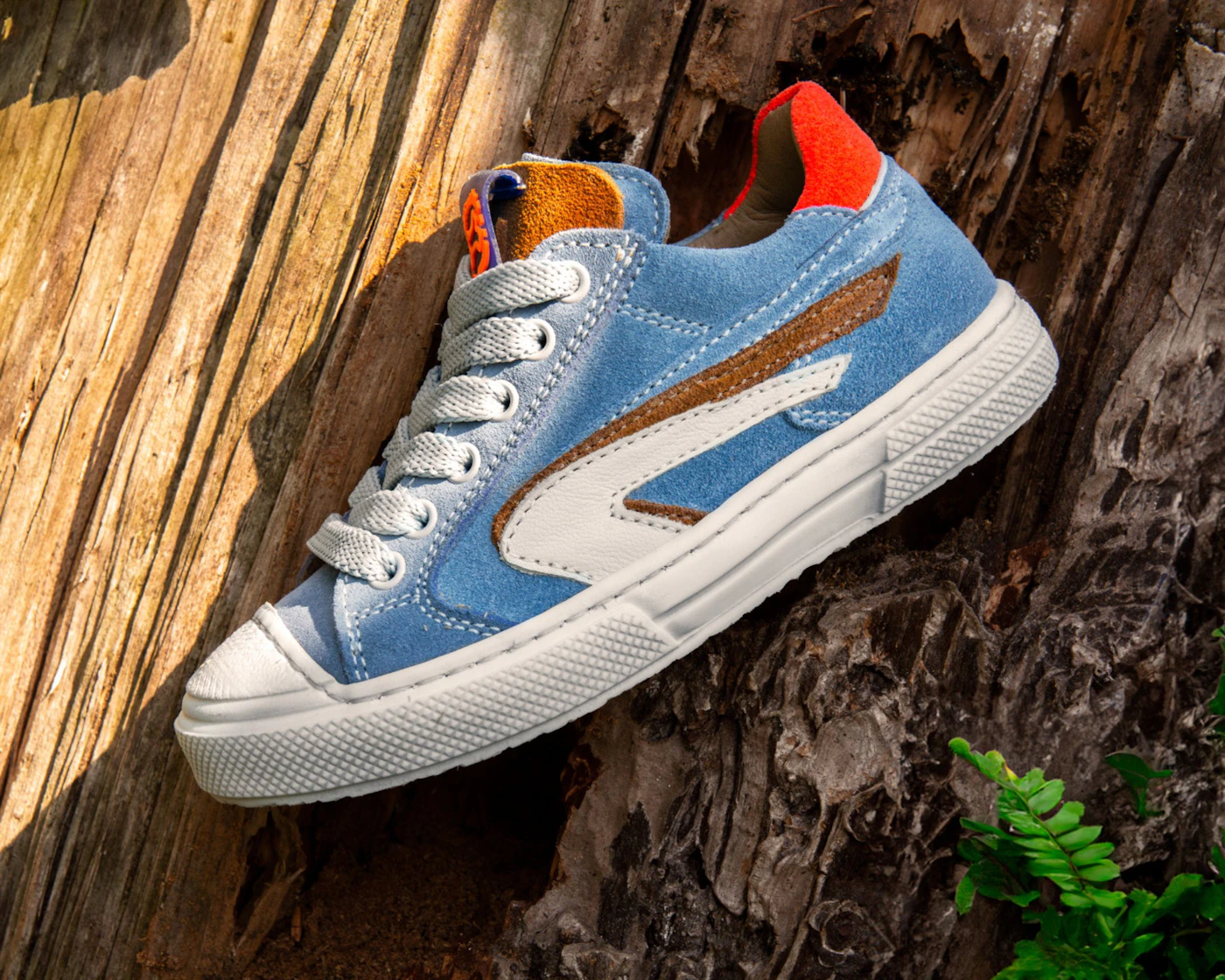 Small blue children's sneaker placed on natural wood